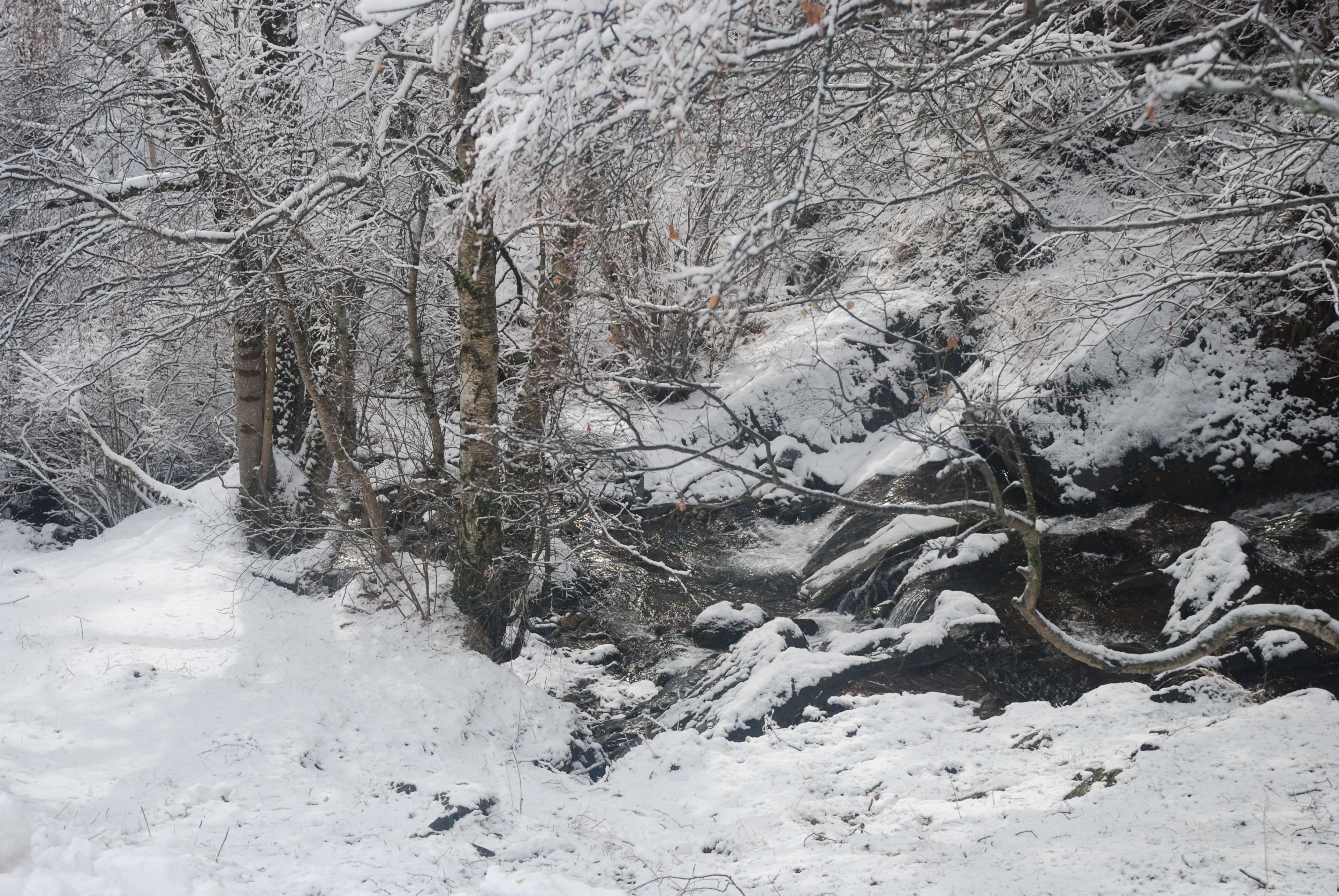 nature, rio en invierno, scenics - nature, snowcapped mountain, snowing, tree, snow, invierno, outdoors, paisatge nevat, winter, tranquility, forest, extreme weather, HD Wallpaper