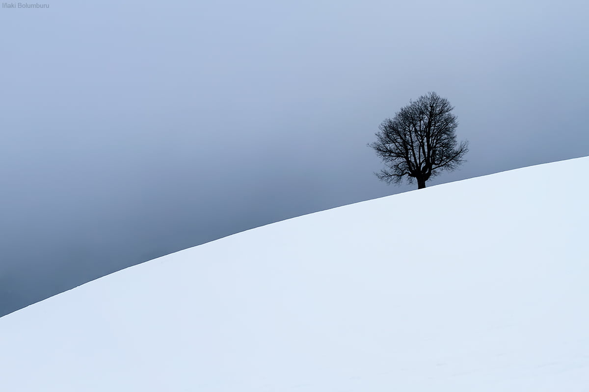 nature, 480P, euskadi, winter, white, landscape, cold - Temperature, gray, agurain, season, Out of the blue, snow, blue  gray, snowcap, salvatierra  álava, HD Wallpaper