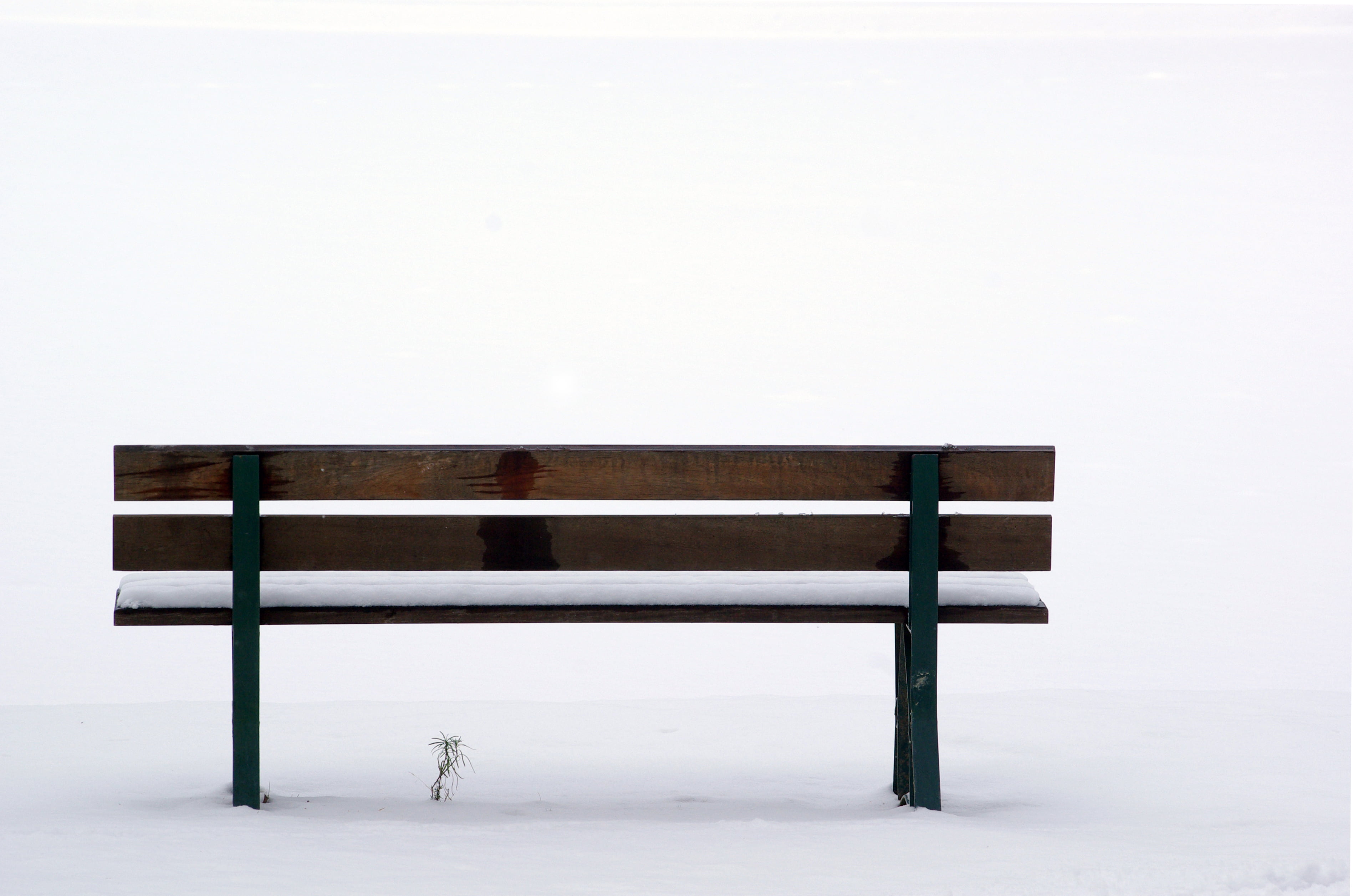frio, hiver, Osseja, Composition, fred, park bench, park, outdoors, Minimal, 2K, wooden, cold, winter, snow, bench, banco, invierno, Cerdaña, johnsons, HD Wallpaper
