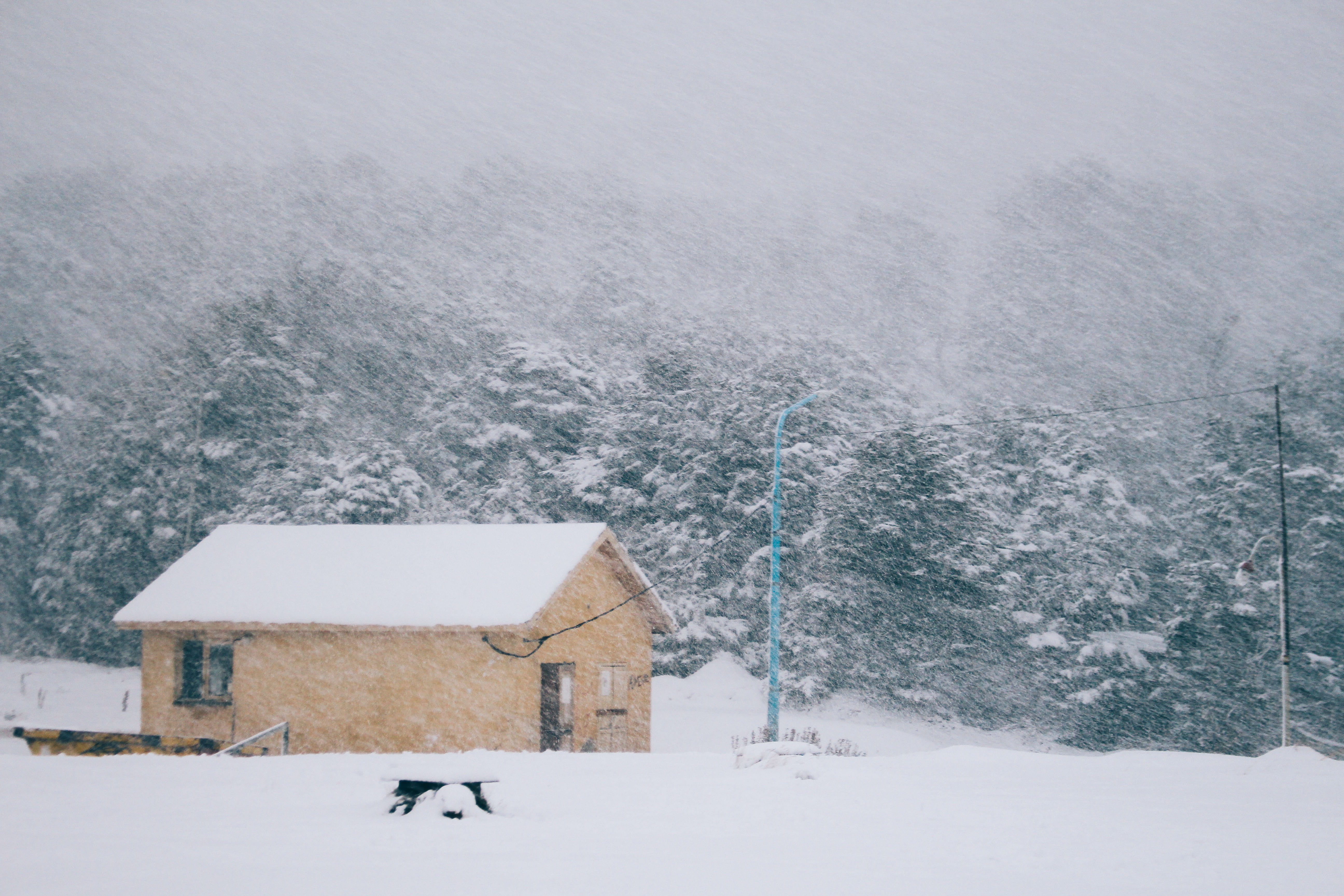 white color, invierno, covering, nature, frio, argentina, outdoors, beauty in nature, snow, storm, blizzard, house, architecture, scenics - nature, 5K, HD Wallpaper