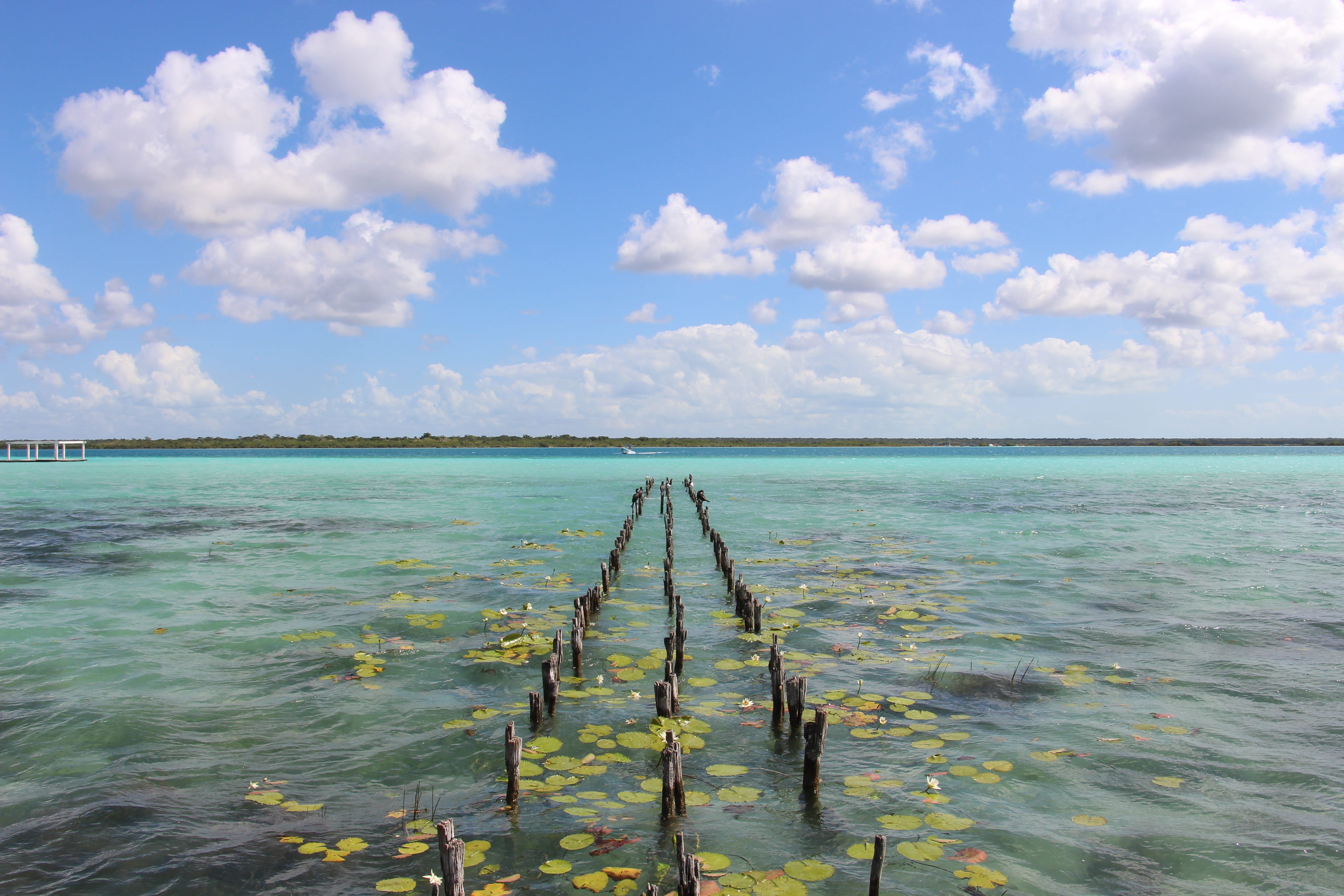outdoors, travel destinations, cloud - sky, water, tranquil scene, quintana roo, travel, nature, horizon over water, idyllic, mexico, sea, tranquility, HD Wallpaper