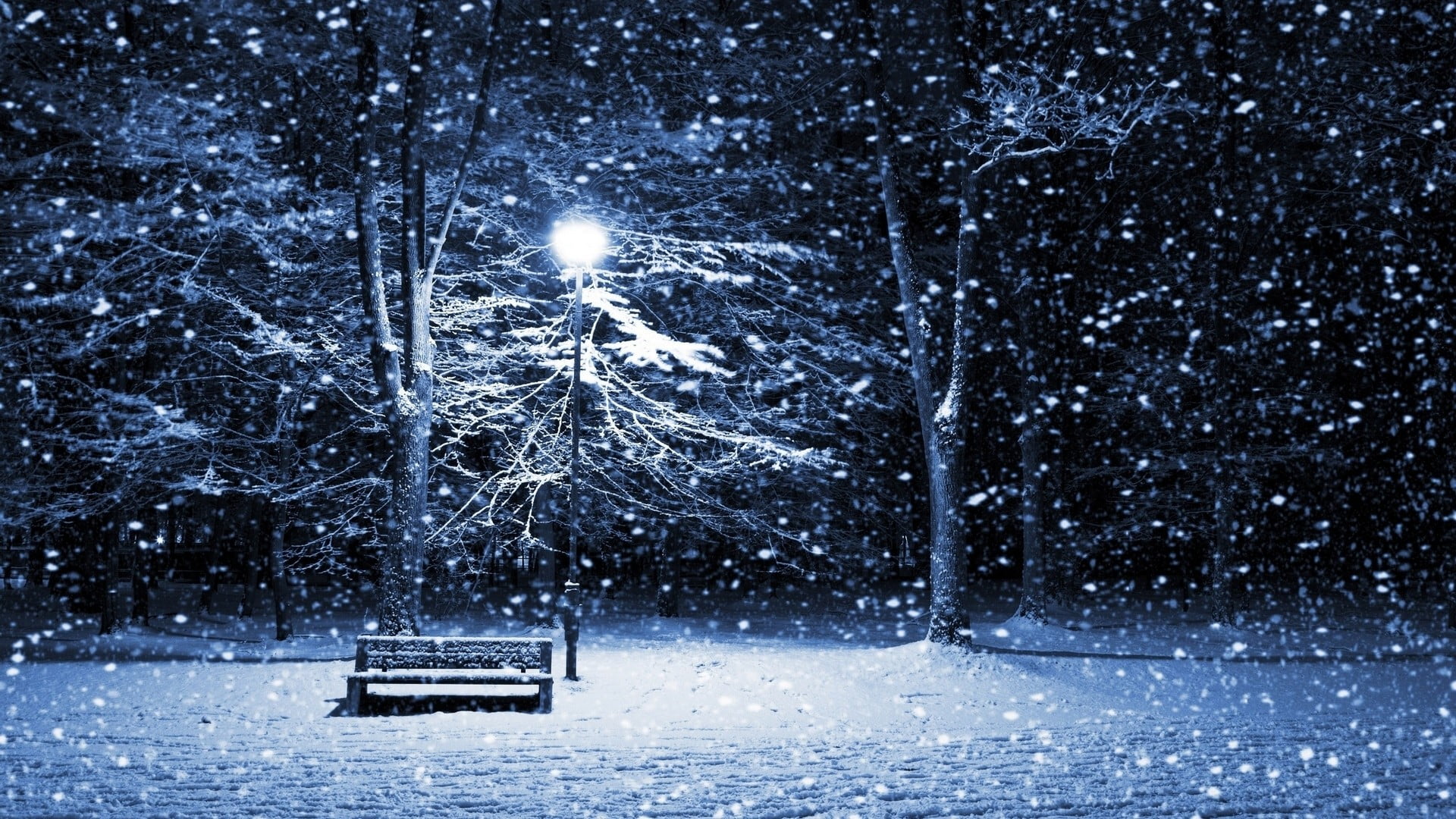 snowing, cold temperature, winter, lantern, illuminated, tranquility, tree, park bench, non-urban scene, outdoors, night, 1080P, beauty in nature, no people, HD Wallpaper
