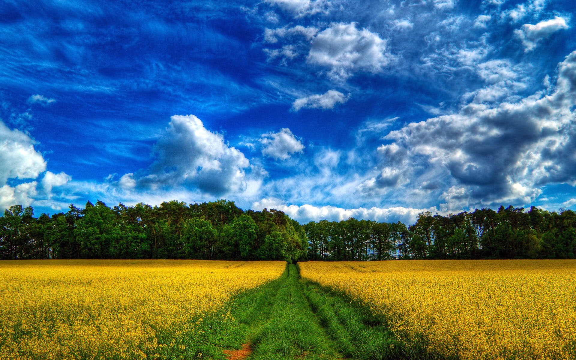 paisaje, nubes, bosque, 1080P, naturaleza, HD Wallpaper