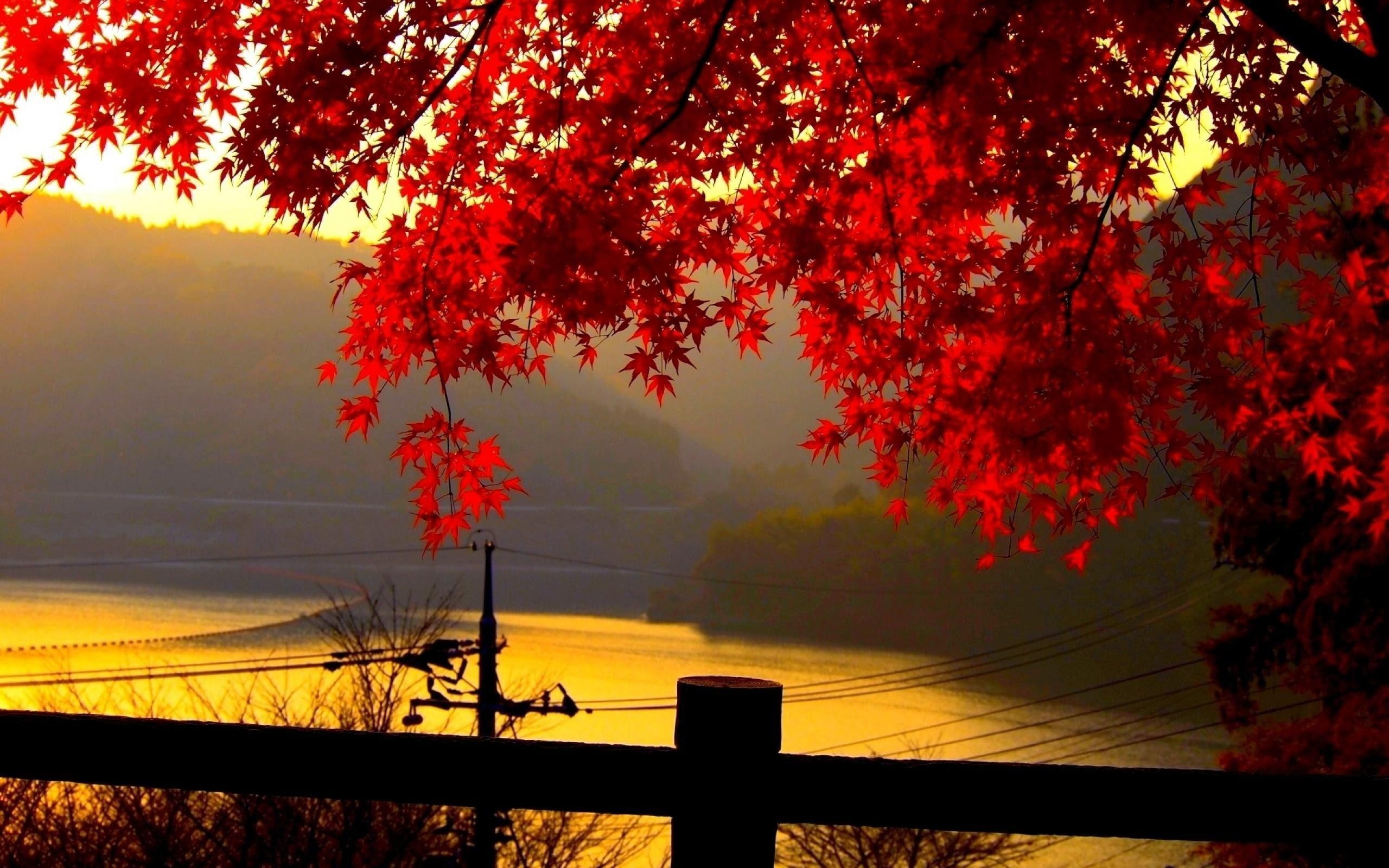 rio, 2K, paisaje, naturaleza, HD Wallpaper
