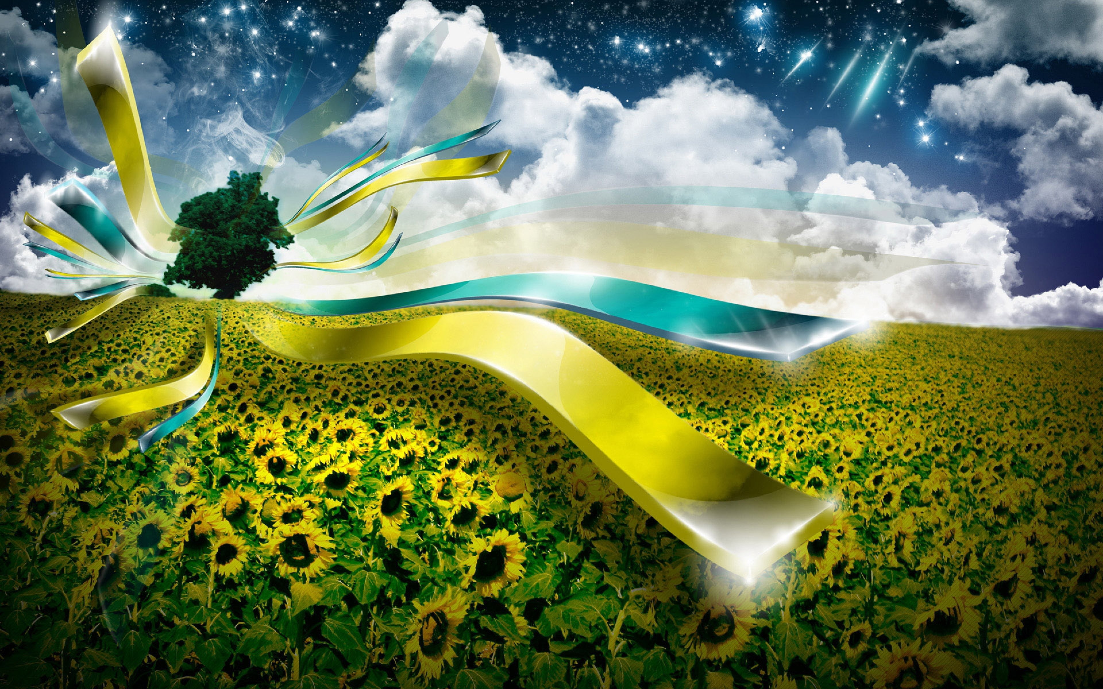 girasoles, paisaje, 4K, abstracto, HD Wallpaper