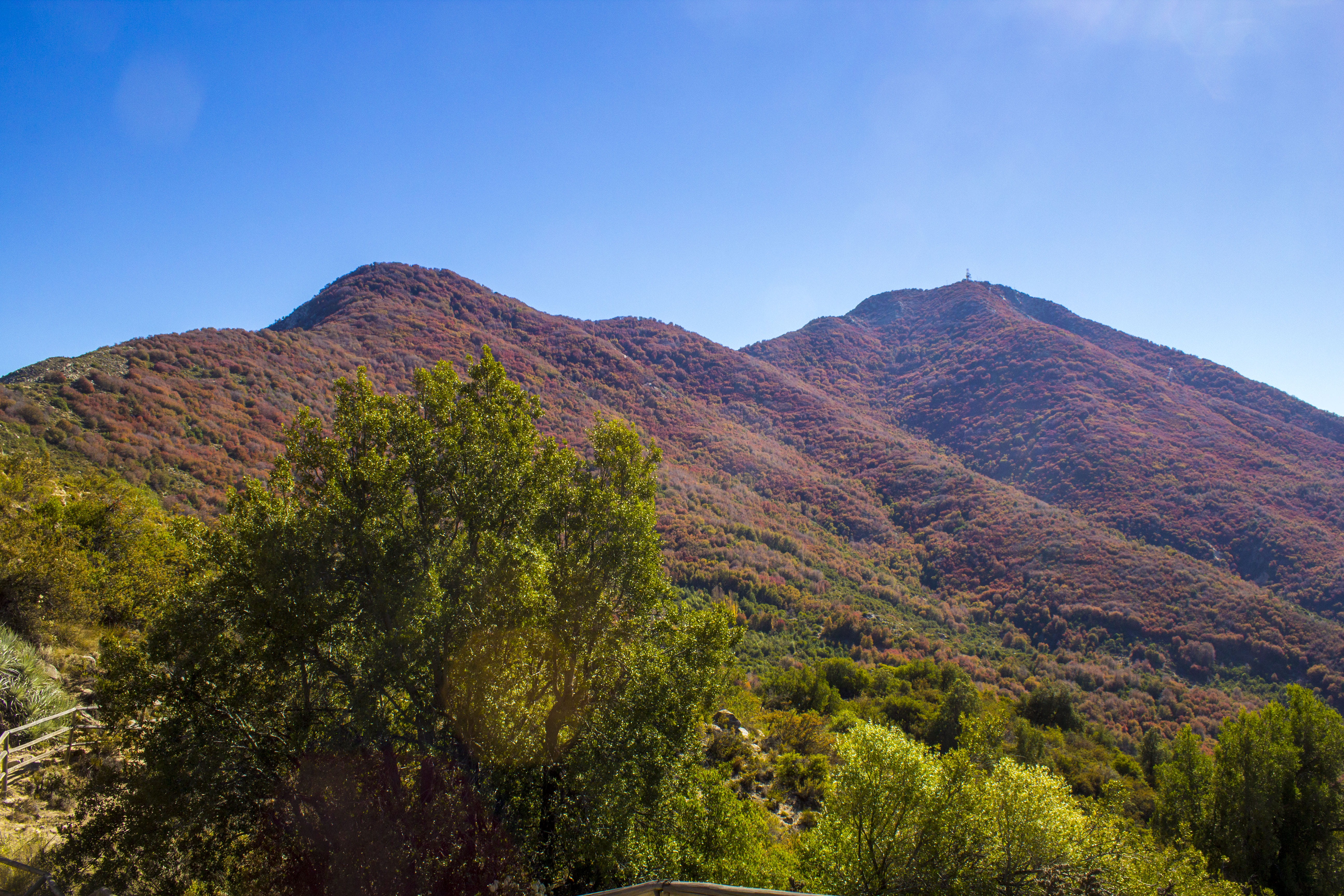 non-urban scene, sky, mountain peak, day, nature, roblerias, mountain, clear sky, hills, roble de santiago, tree, travel destinations, chile, santiago, HD Wallpaper