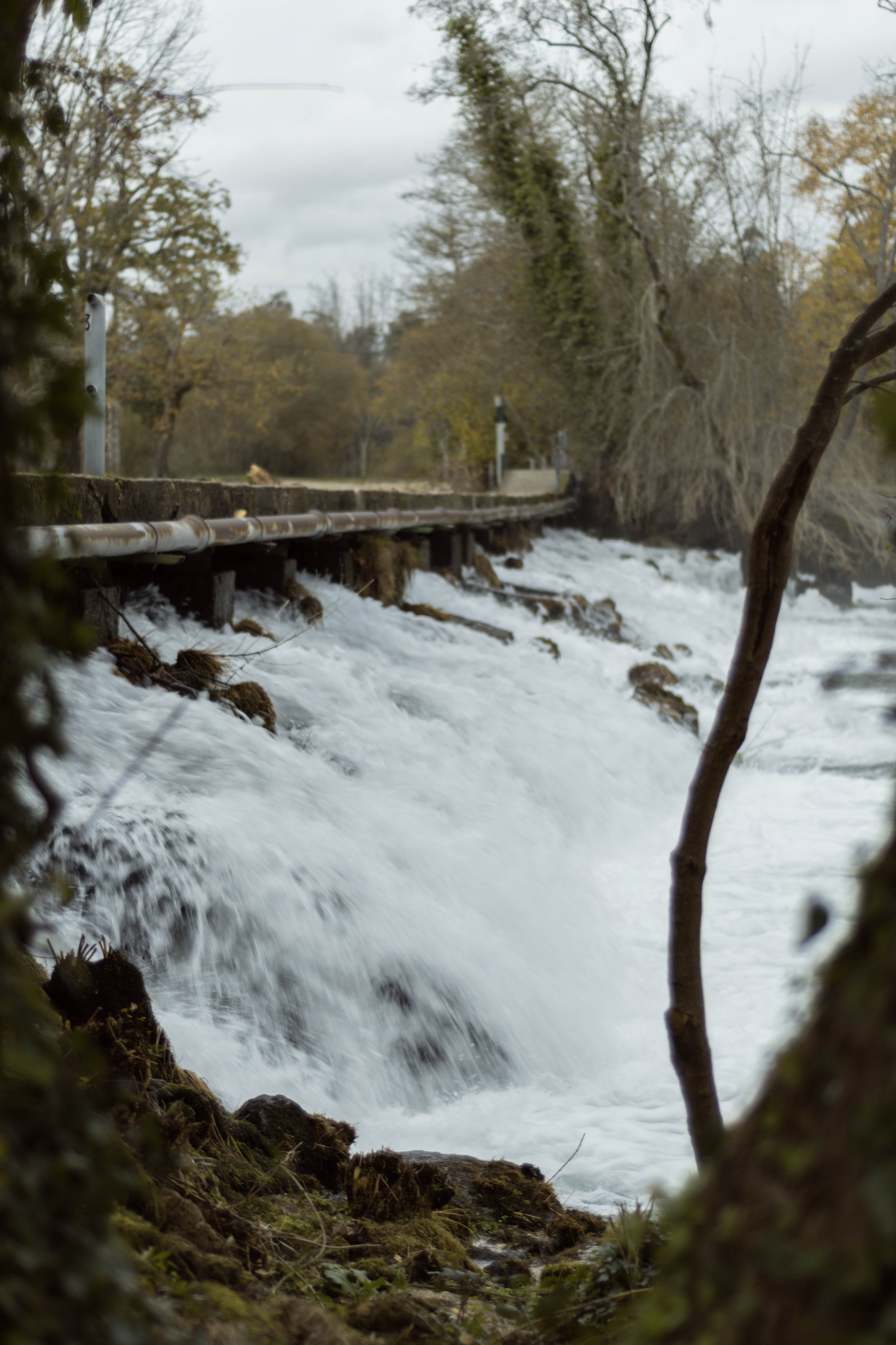 pontevedra, rio, verde, autumn, no people, non-urban scene, solid, flowing water, 5K, presa, nature, spain, stream - flowing water, rock - object, winter, Phone HD Wallpaper