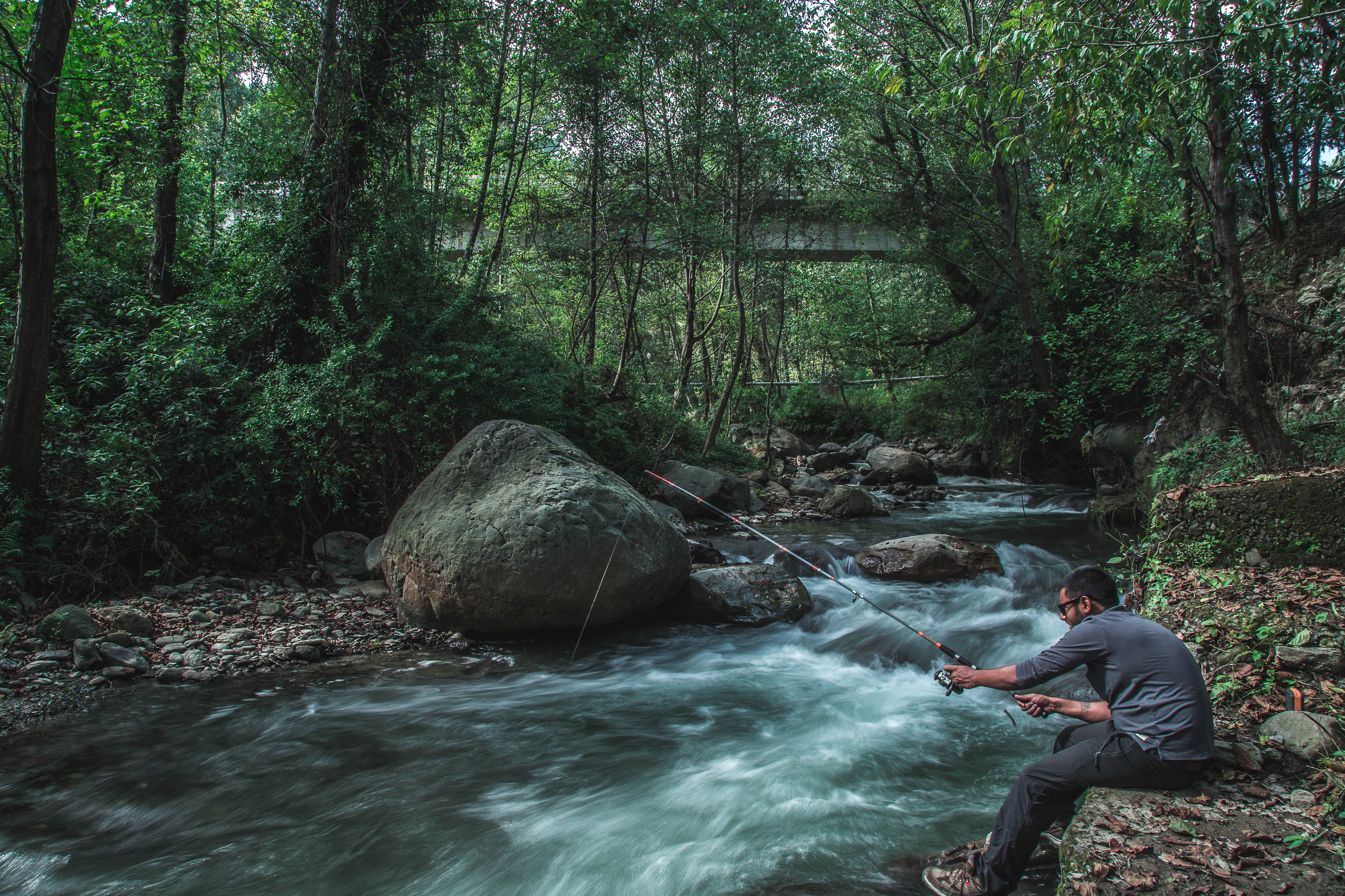 near, bridge, waterfall, flowing, flowing water, bosque, stream - flowing water, one person, pescando, tree, leisure activity, plant, solid, outdoors, beauty in nature, HD Wallpaper