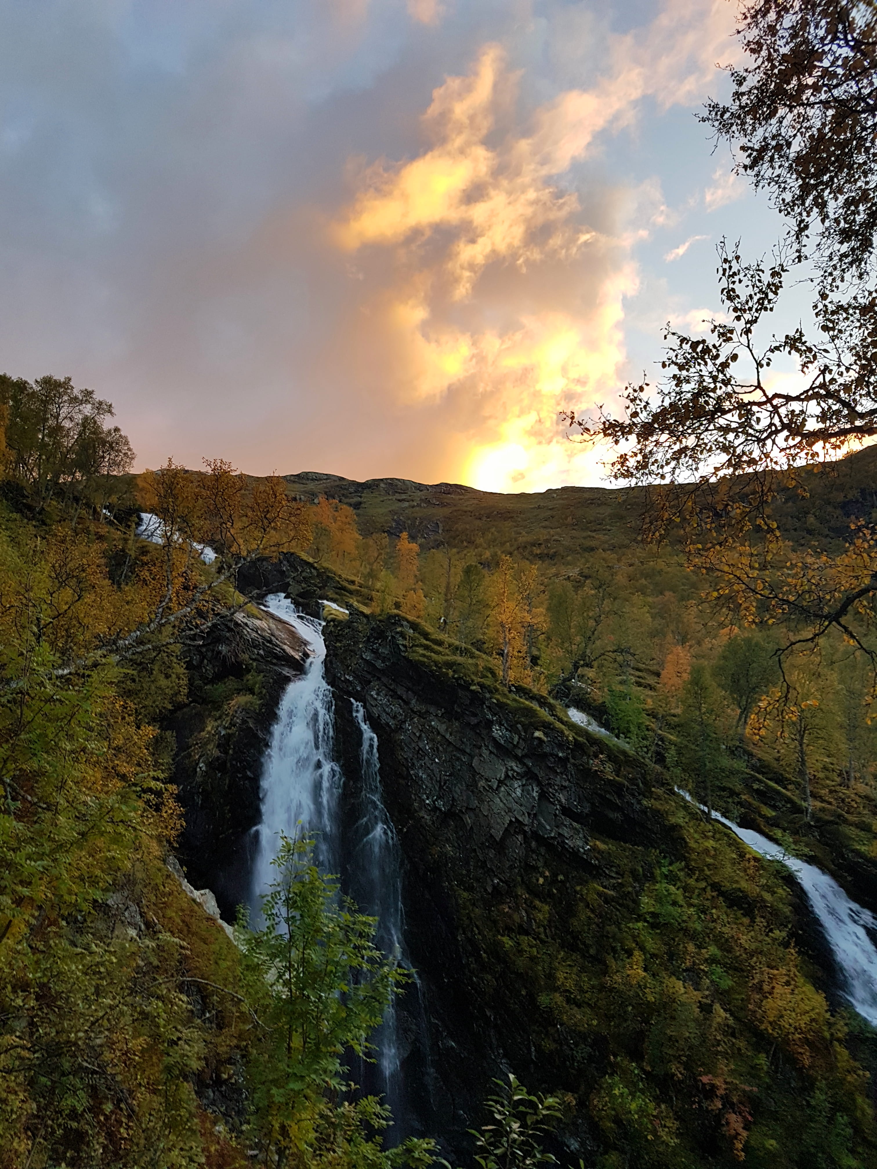 norway, no people, tranquility, noruega, flowing, flowing water, water, scenics - nature, tree, land, sunset, myrdal, environment, waterfall, view, sky, Phone HD Wallpaper