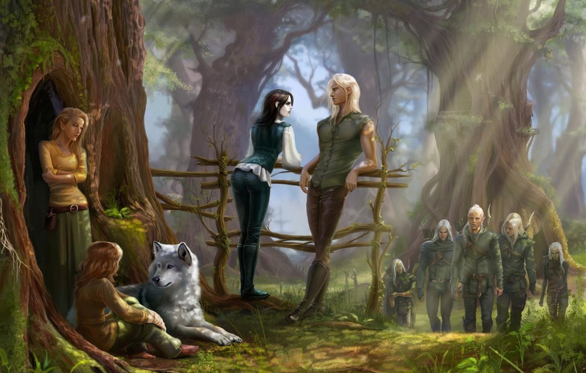gnomos, elfon, fantasia, 1080P, bosque, HD Wallpaper