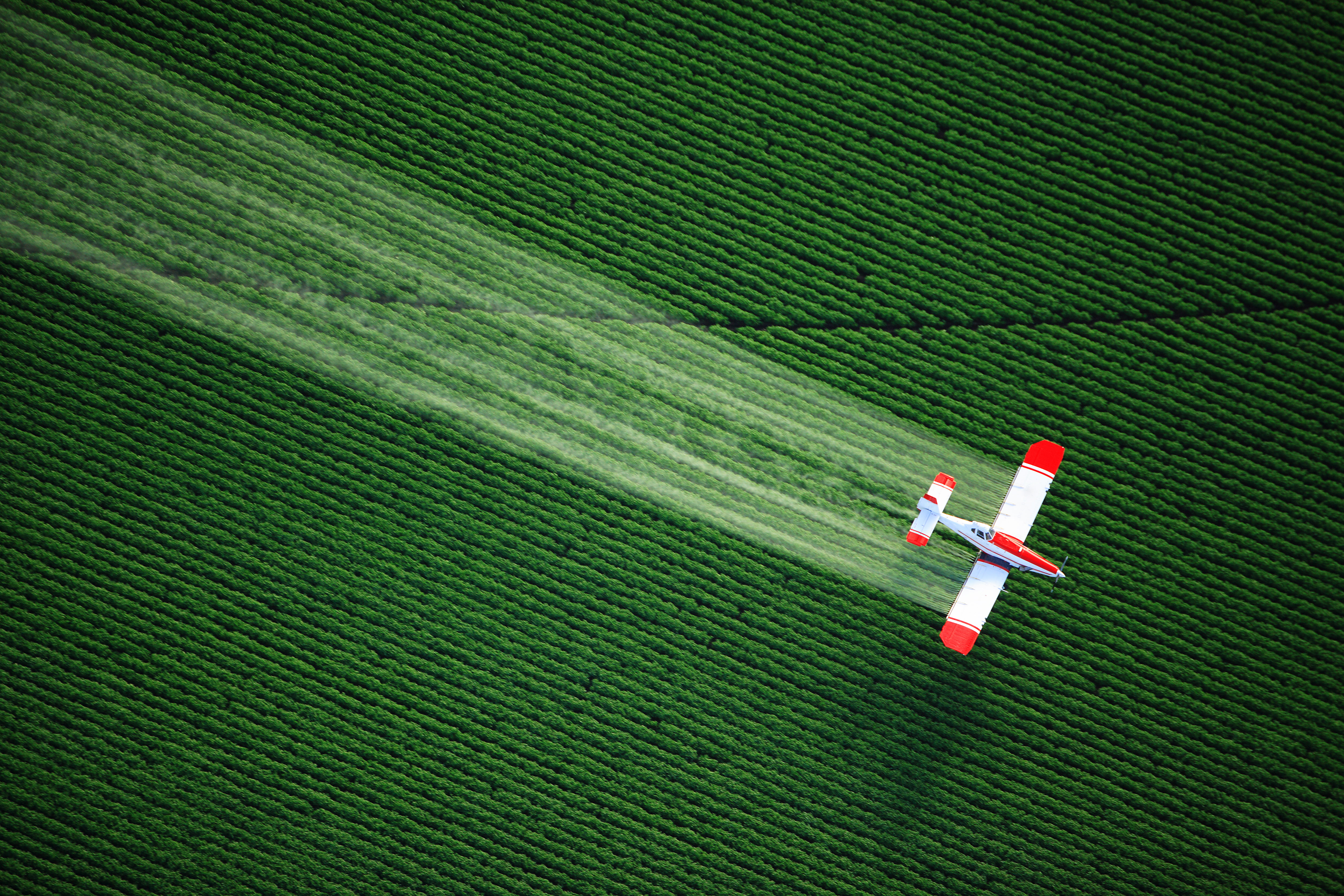 4K, verde, plantacion, avion, HD Wallpaper