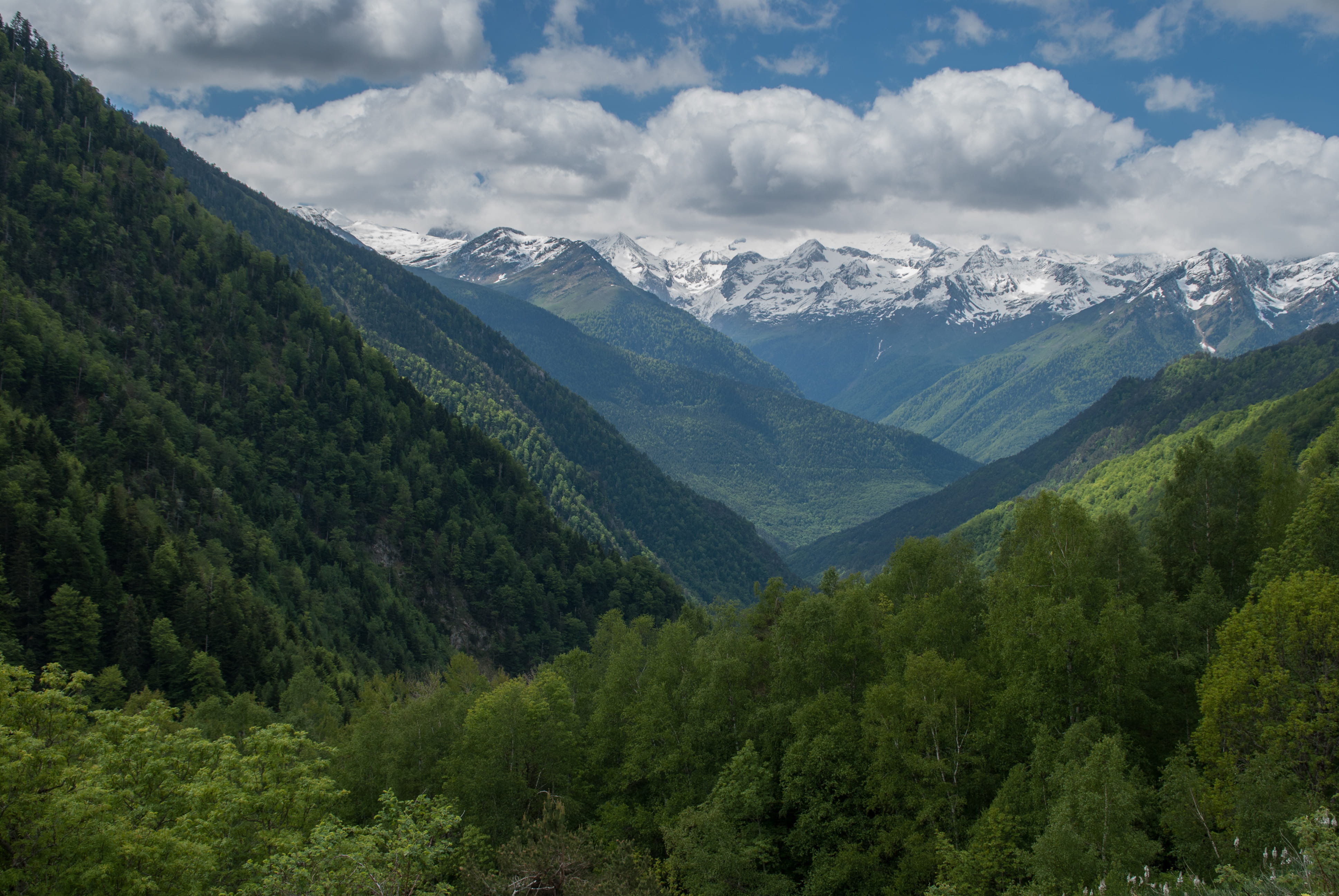 catalunya, land, scenics - nature, vall daran, tranquil scene, no people, outdoors, valley, growth, coniferous tree, tree, verde, green color, plant, mountain, HD Wallpaper