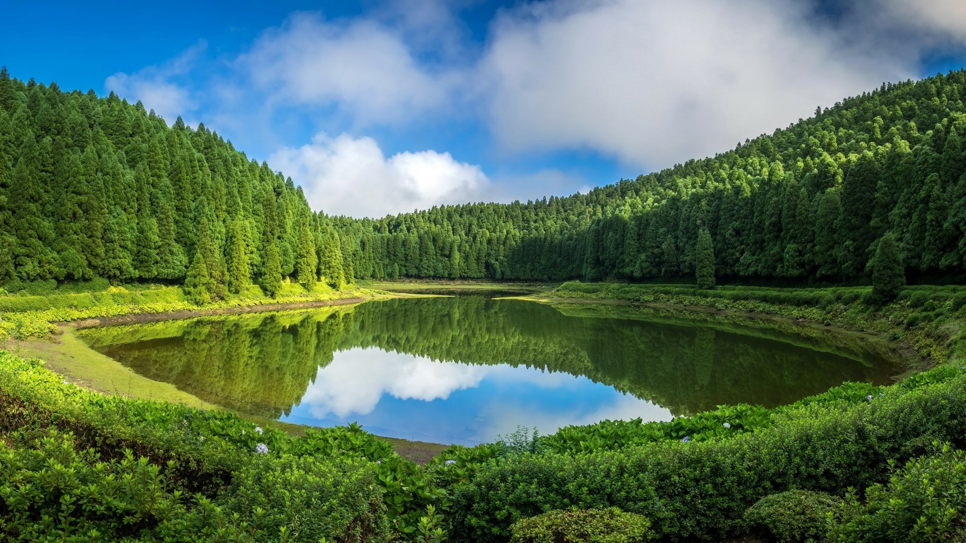 europe, portugal, mountain lake, forest, sky, pine forest, wilderness, green, water, reflection, santiago lake, lake district, lagoa de santiago, lake, HD Wallpaper