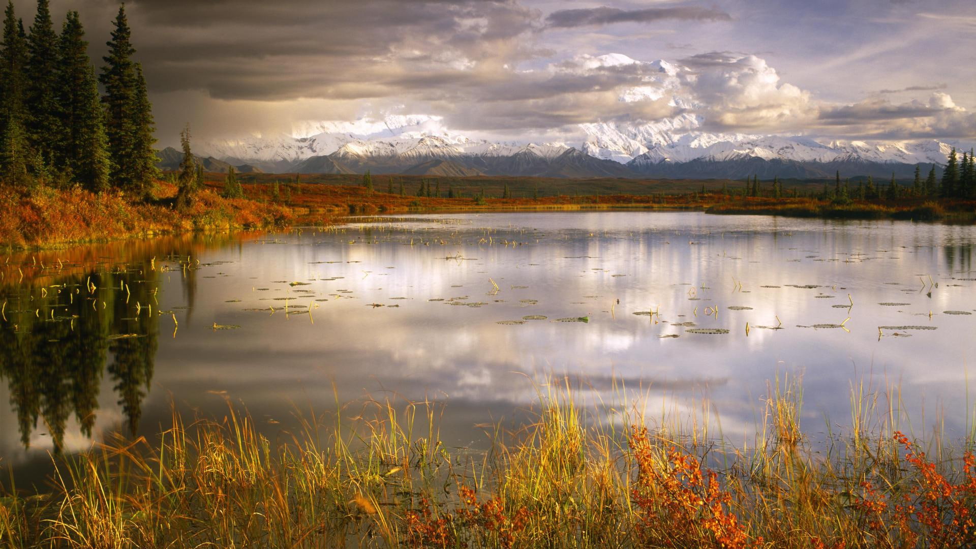 nature and landscapes, parque, 1080P, nacional, de, denali, alaka, HD Wallpaper
