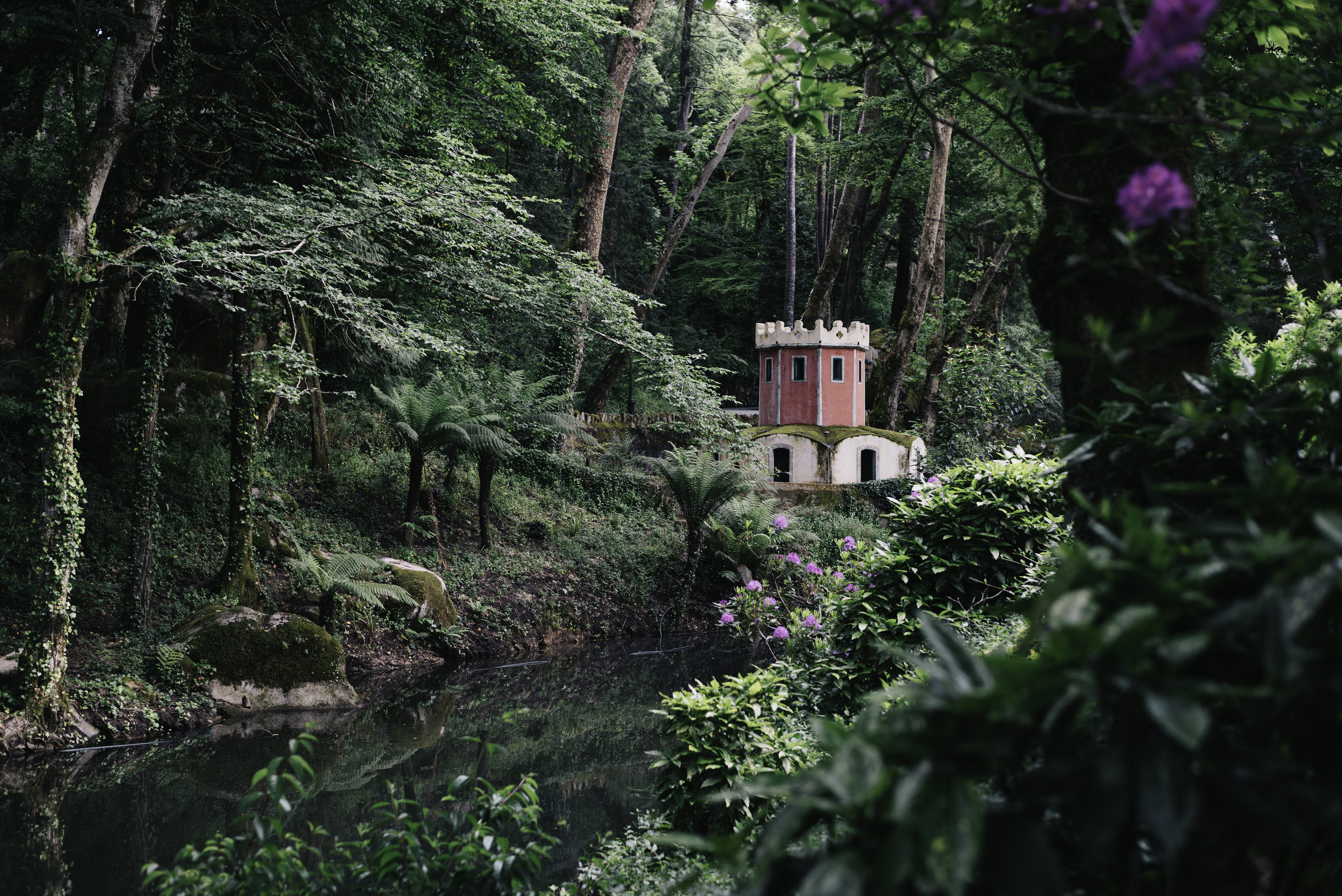 sintra national palace, no people, natureza, garden, arvores, place of worship, beauty in nature, nature, trees, house, 5K, green color, day, religion, HD Wallpaper