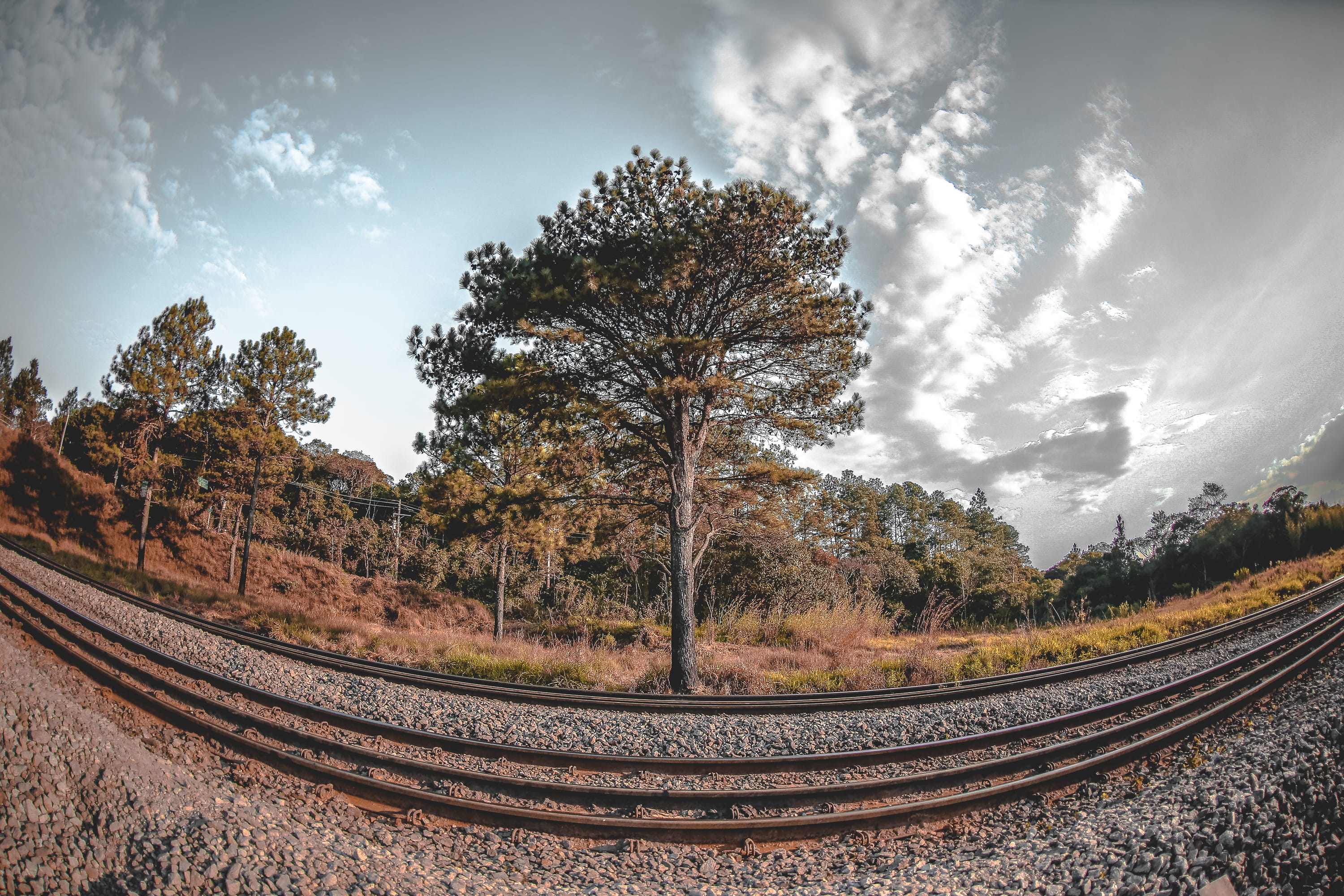 travel, cloud - sky, serjosoza, beauty in nature, saopaulo, 2K, scenics - nature, nature, transportation, 15mm, marsilac, railroad track, tree, fisheye, HD Wallpaper