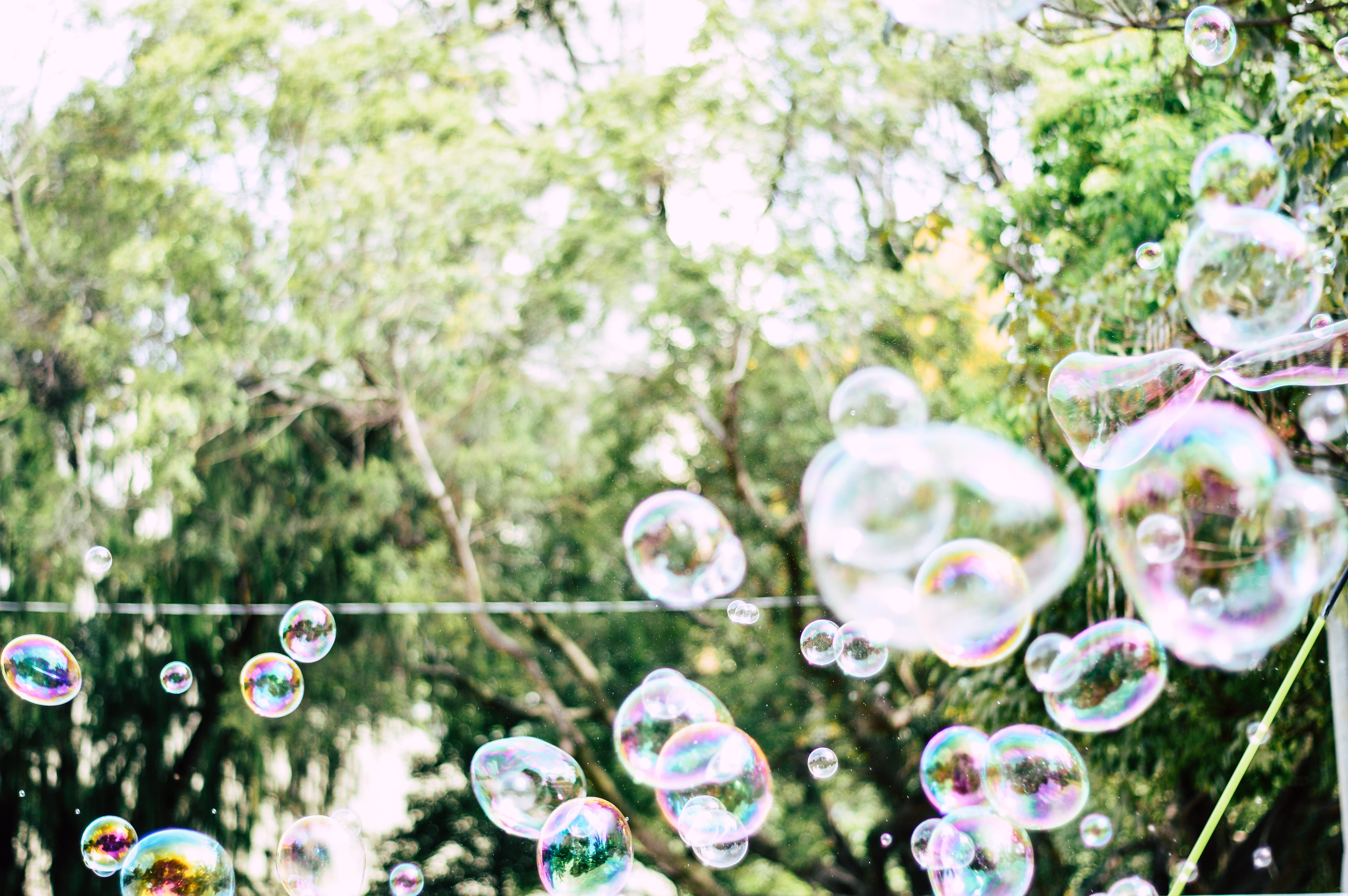 beautiful, nature, day, reflection, bubble wand, colour, play, photography, bubbles, plant, close-up, focus on foreground, felicidade, pretty, vivid, purity, HD Wallpaper