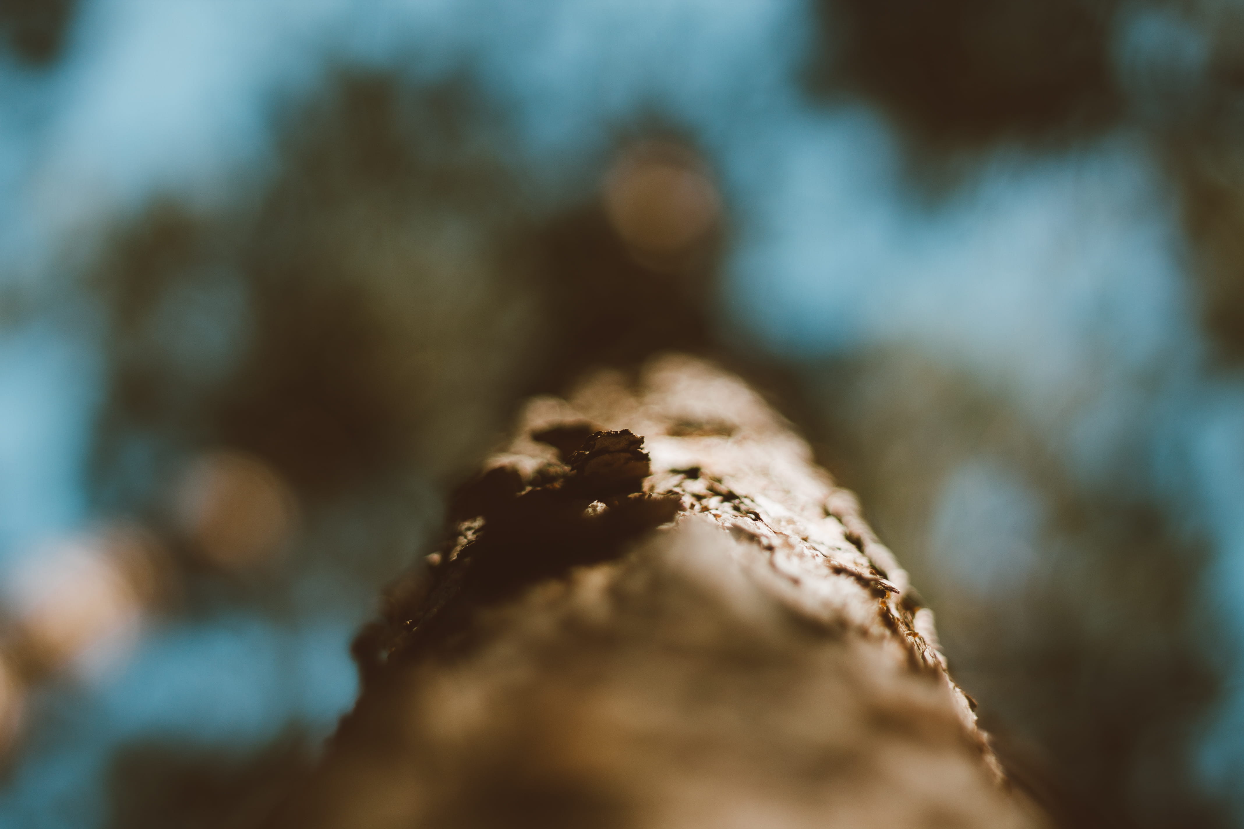 no people, sweets, 4K, rough, close-up, wood - material, tree trunk, shine shine, beauty, textured, blue sky, tranquility, food, rock, fotografo, sky, HD Wallpaper