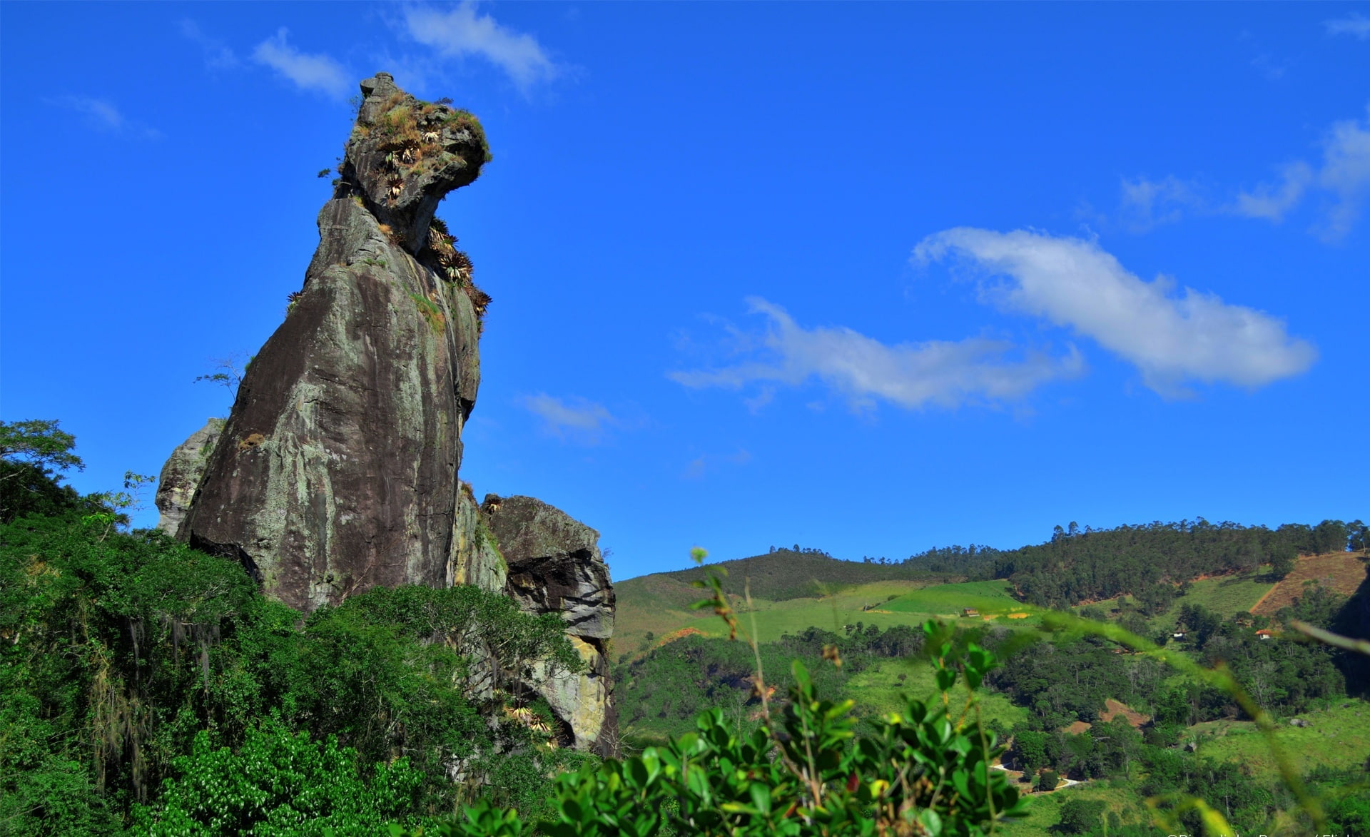 cachorro, sitting, Nature, stone, cao, rock - object, 1080P, plant, no people, vegetacao, tranquility, outdoors, brazil, cloud - sky, bark, pedra, natureza, HD Wallpaper