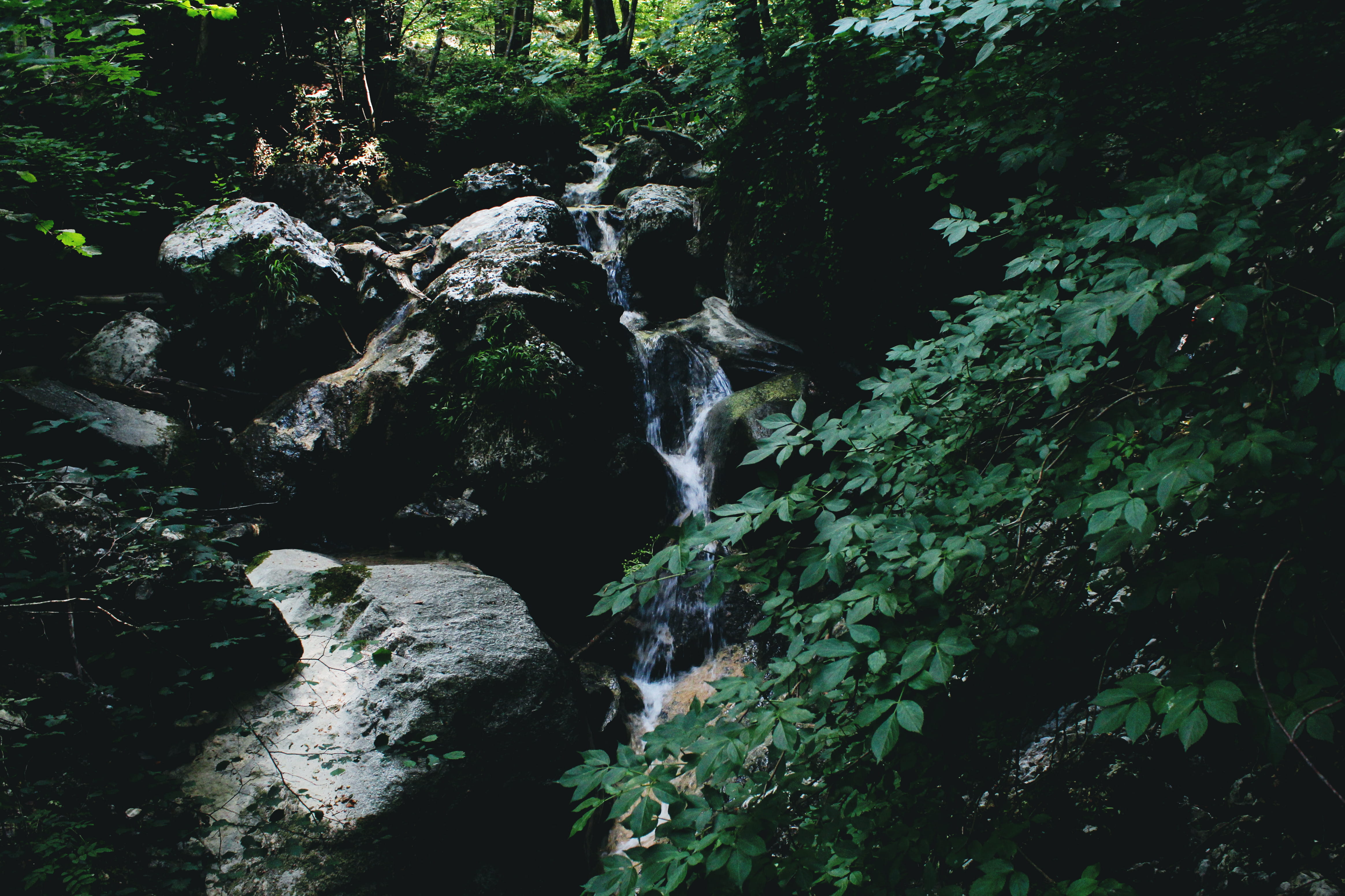 nature, wild, lake, outdoors, no people, stone, water, pedras, como, forest, natureza, waterfall, flowing, tree, beauty in nature, day, motion, floresta, HD Wallpaper
