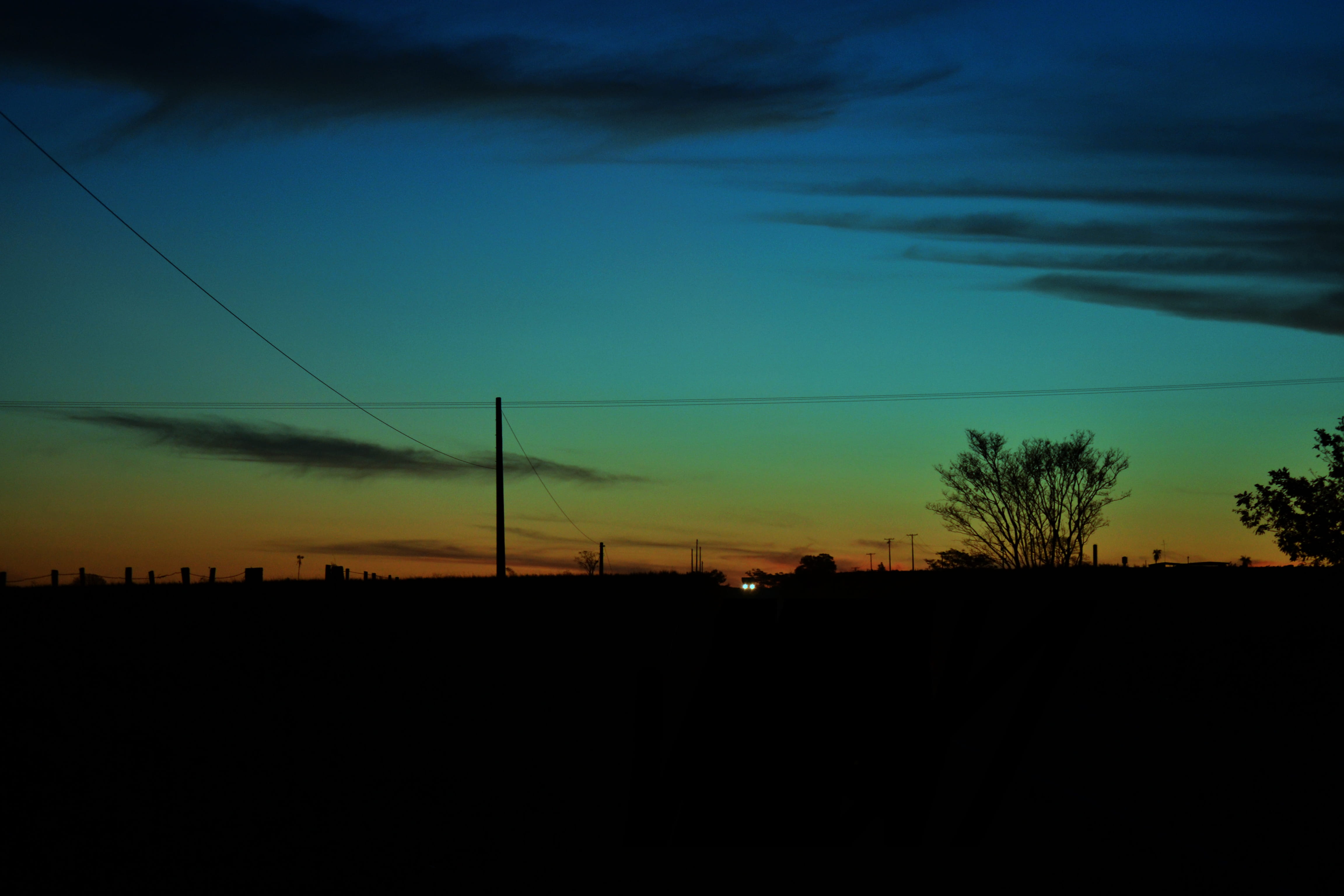 tranquility, connection, no people, cable, sun, outdoors, scenics - nature, tree, environment, nature, brasil, farm, por do sol, power supply, sky, indiapora, HD Wallpaper