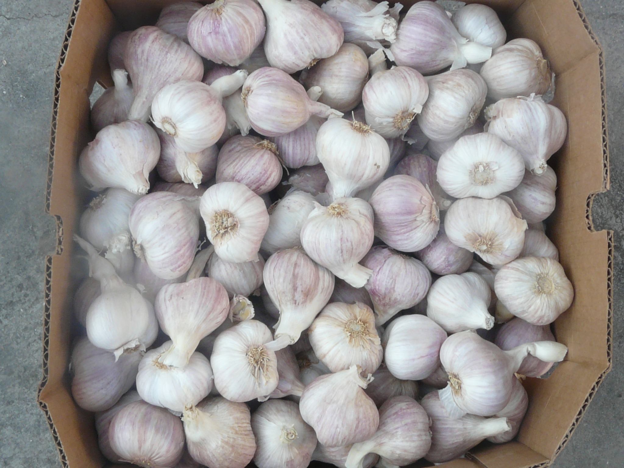 ingredient, greenhouse season, healthy eating, no people, ornamental plants, raw food, flower season, flower, large group of objects, pink, aromatic hydrocarbons, HD Wallpaper
