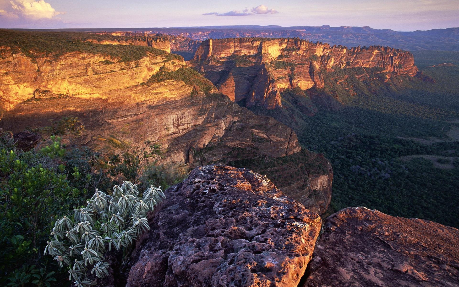 dos, nature and landscapes, mato, chapada, 1080P, brasil, guimares, grosso, HD Wallpaper