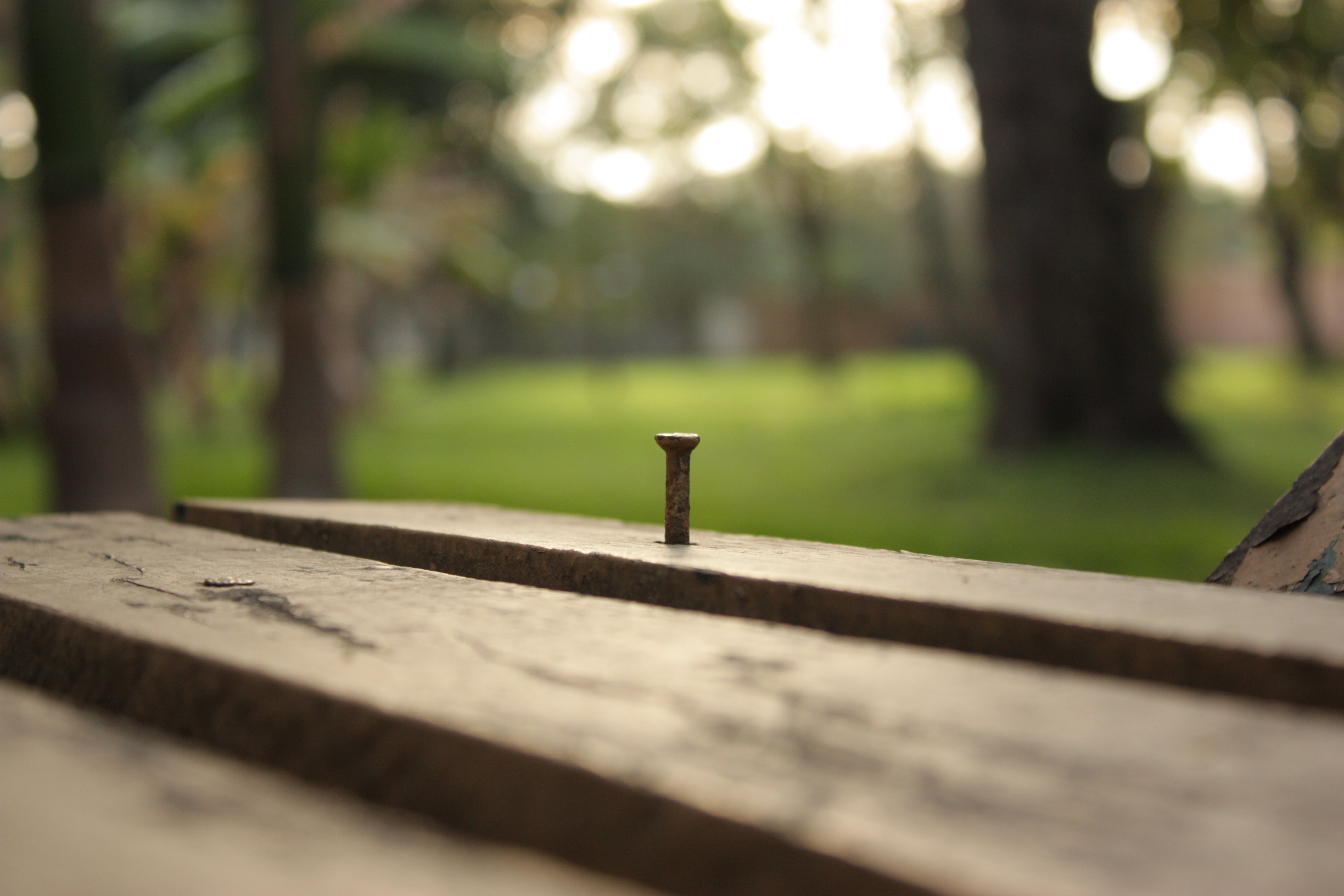 wood - Material, Nail, nature, banco, wood, 4K, Spitting Venom, HD Wallpaper