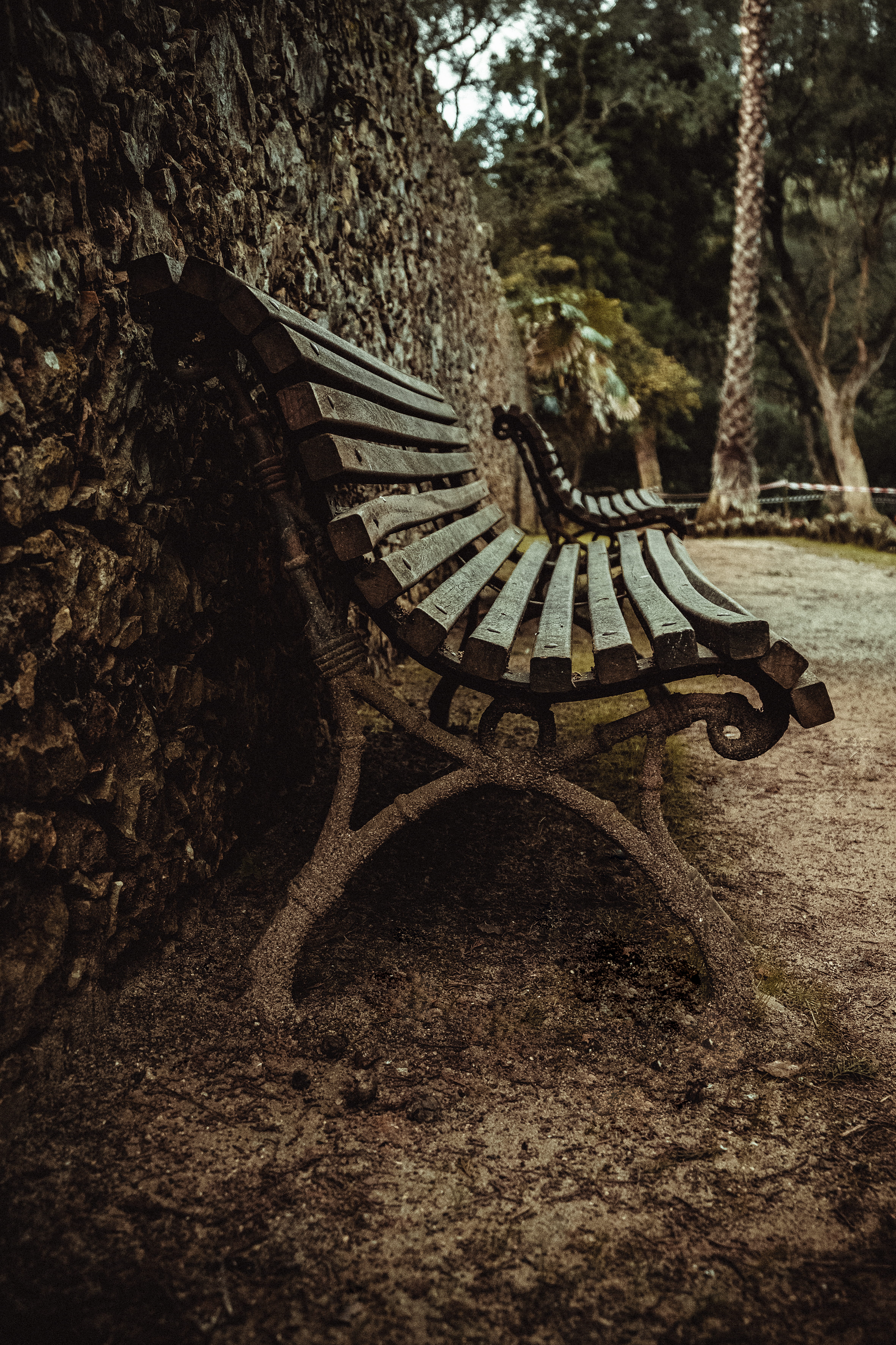 woodland, growth, land, built structure, architecture, bench, marcus castro, tranquility, square, nature, tree trunk, park, day, field, absence, furniture, Phone HD Wallpaper