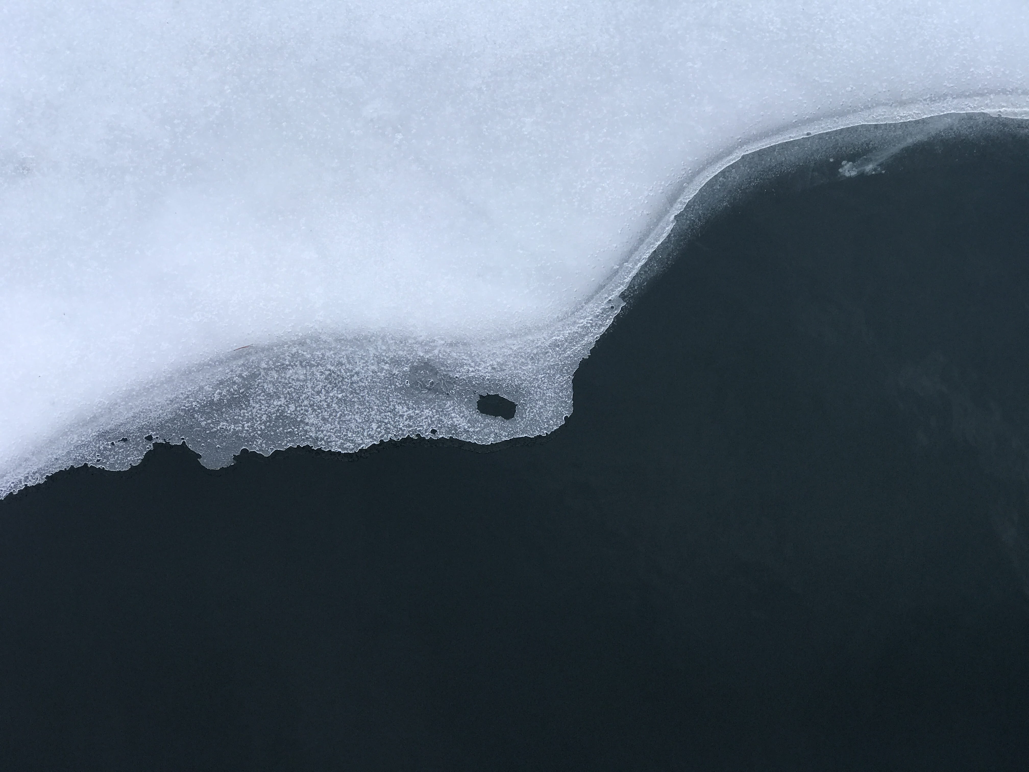 frozen, blanco, tranquility, 4K, scenics - nature, snow, animal, white color, day, landscape, mountain, azul, sea, outdoors, water, shark, hielo, shotoniphone, HD Wallpaper