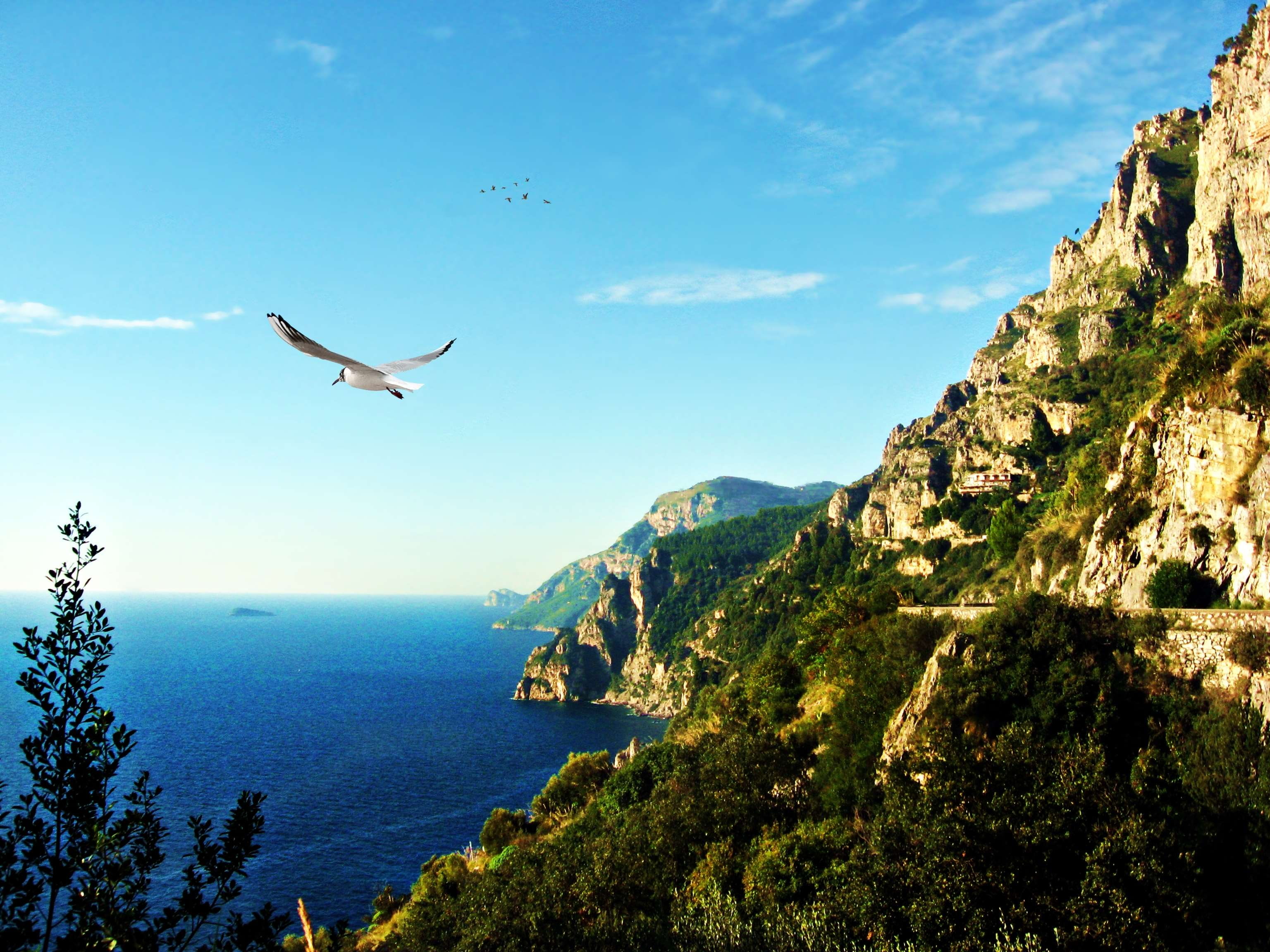 sea, scenics - nature, outdoors, bird, costa amalfitana, beauty in nature, praia, rock, sky, animal wildlife, vertebrate, animal themes, amalfi, 2K, water, HD Wallpaper