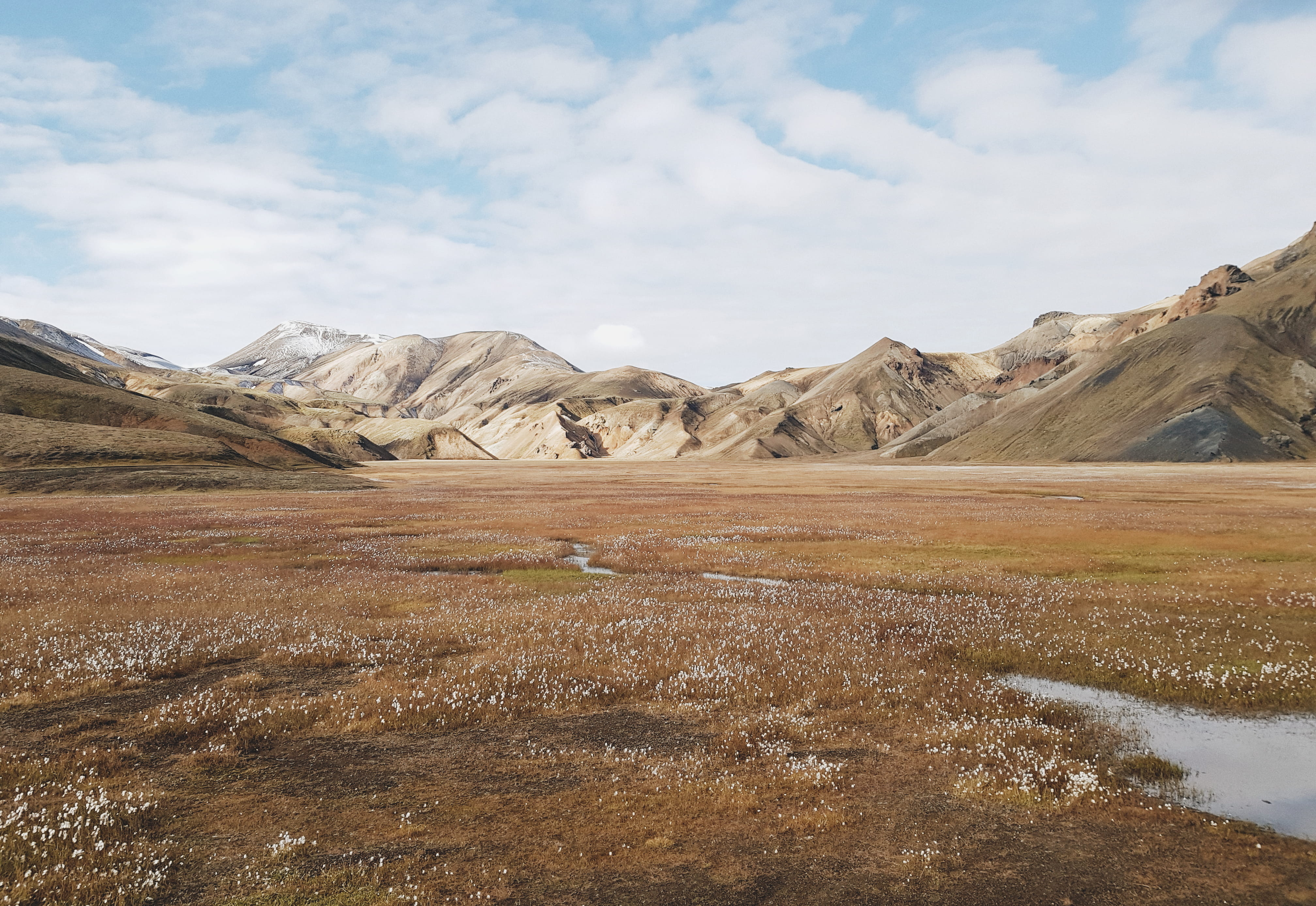 landscape, formation, idyllic, islandium, brown, flower, environment, grass, mountain range, mountainscape, field, montanha, tranquility, beauty in nature, HD Wallpaper