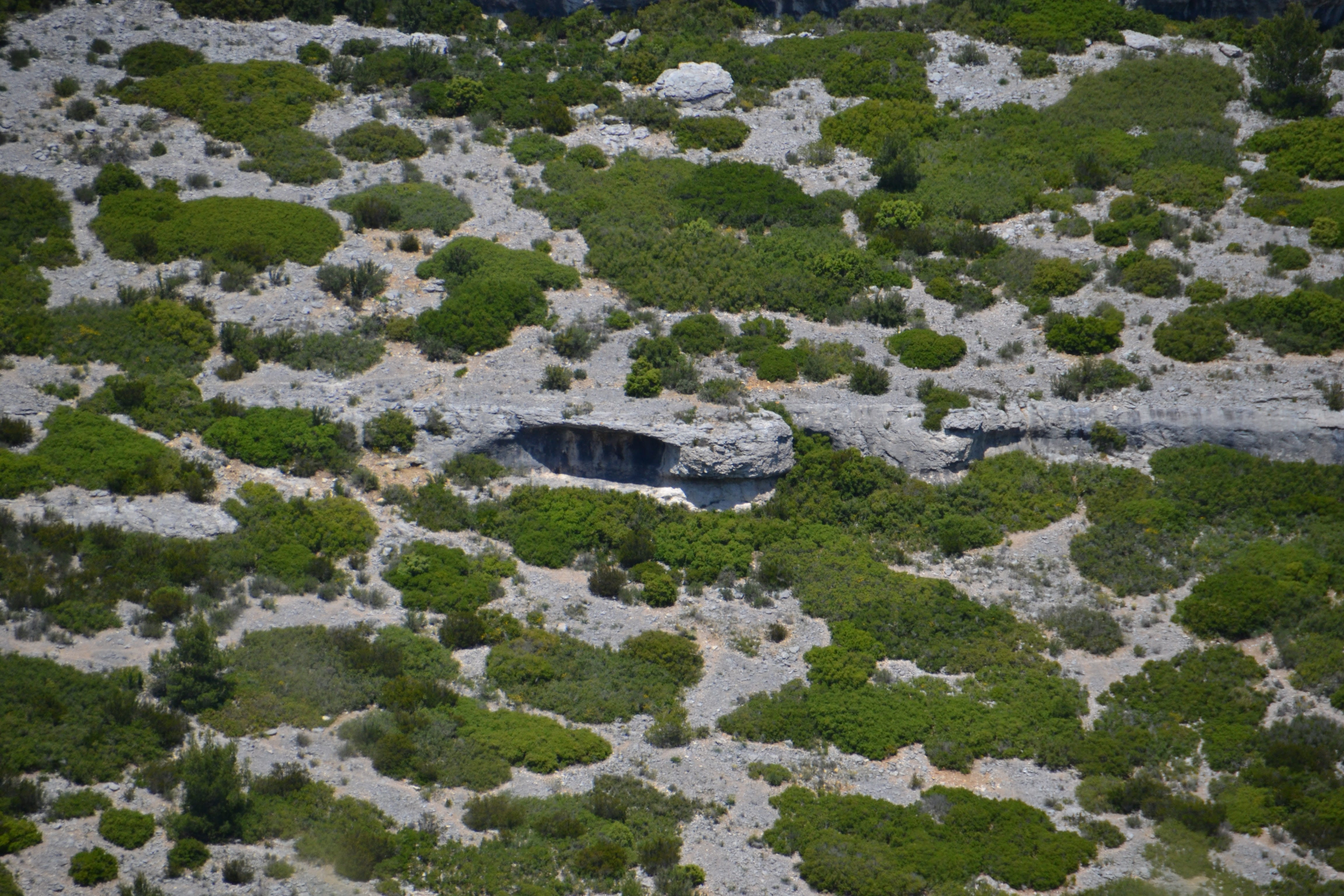 tree, montanha, high angle view, rocha, land, cassis, full frame, growth, non-urban scene, rock, plant, rock - object, 4K, solid, day, moss, scenics - nature, HD Wallpaper