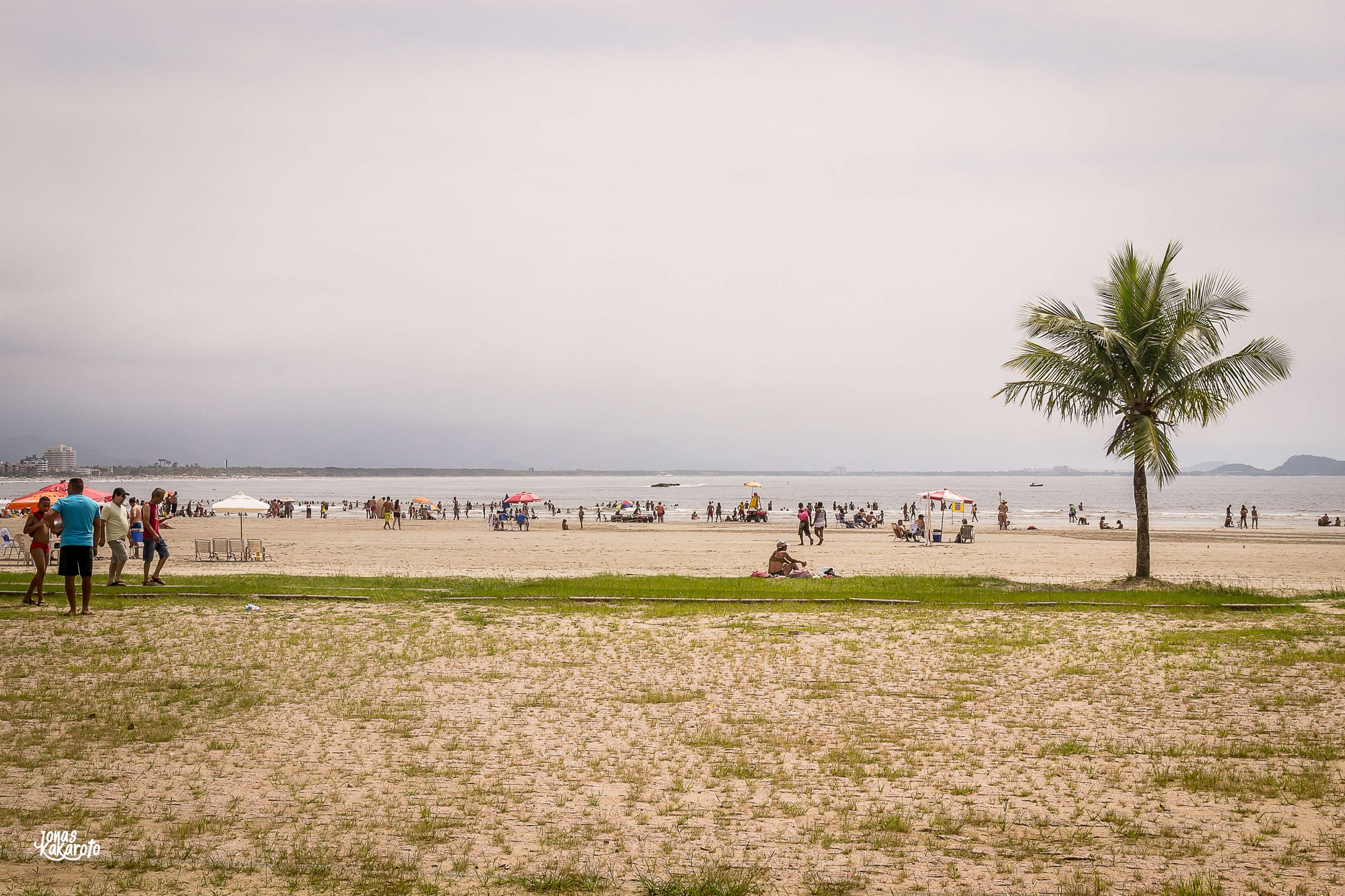 brazil, tree, outdoors, tropical climate, large group of people, nature, sea, leisure activity, vero, sao paulo, adult, group of people, sun, quente, calor, HD Wallpaper