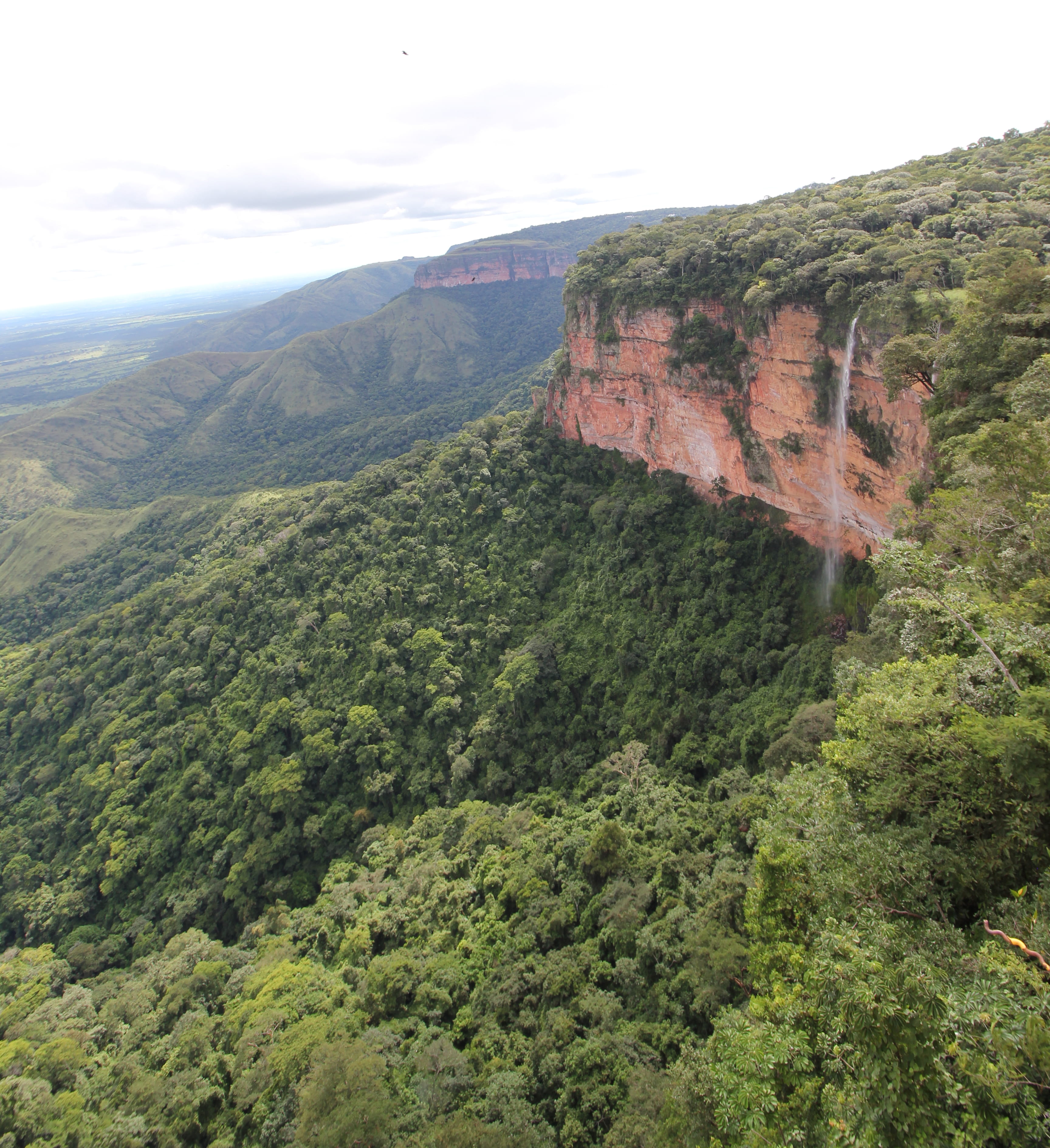 sky, brazil, plant, forest, chapada dos guimarães national park, green, cloud, high angle view, non-urban scene, green color, day, 2K, clouds, idyllic, Phone HD Wallpaper
