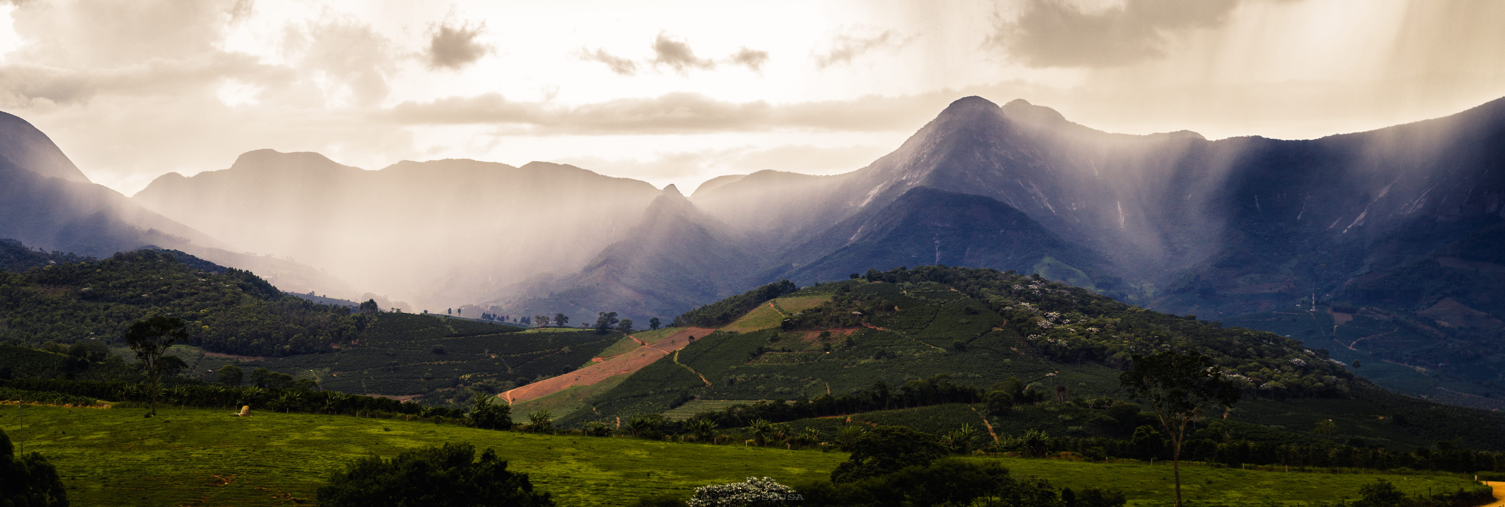 no person, fog, são josé da pedra menina, no people, rain, 4K, mountain peak, threes, panoramic, mountains, cloud - sky, land, valley, travel destinations, HD Wallpaper