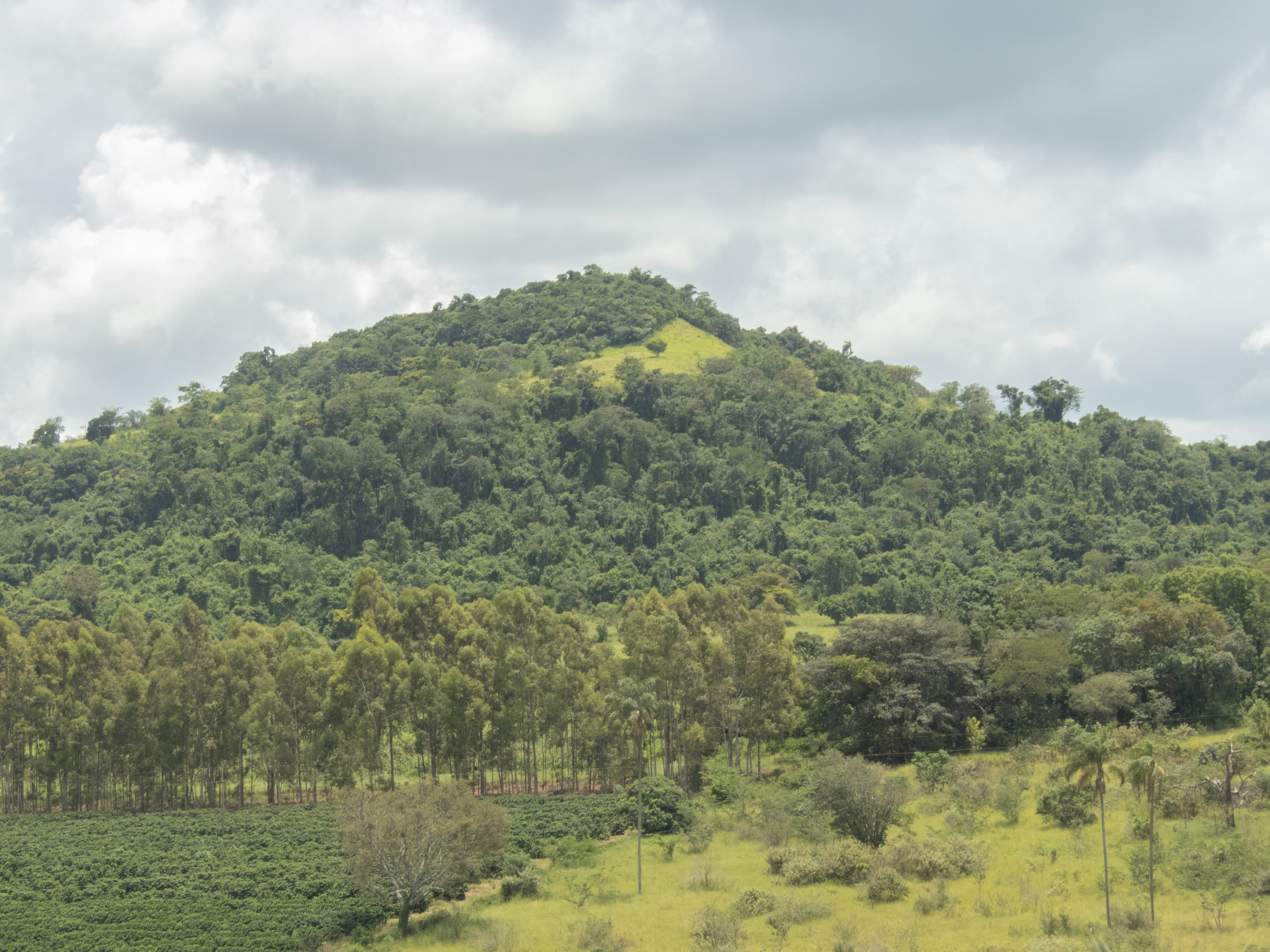environment, minas gerais, cloud - sky, grass, land, tree, mountain range, itaú de minas, 5K, growth, itaú, mountain, slope, non-urban scene, nature, countryside, HD Wallpaper
