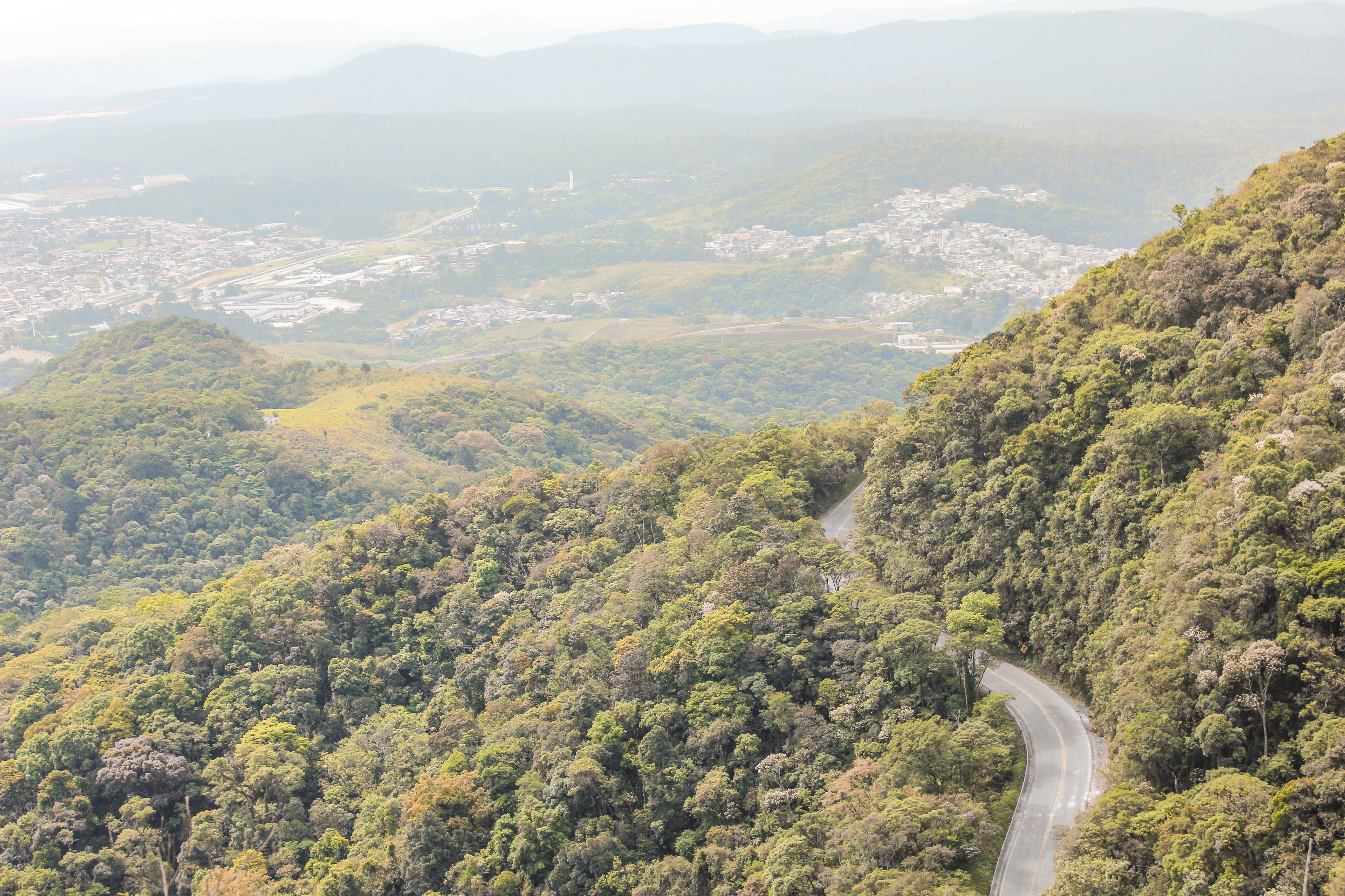 mirante, beauty in nature, idyllic, road, brazil, natureza, no people, forest, sp, mountain, plant, outdoors, pico do jaraguá, tranquility, tranquil scene, HD Wallpaper