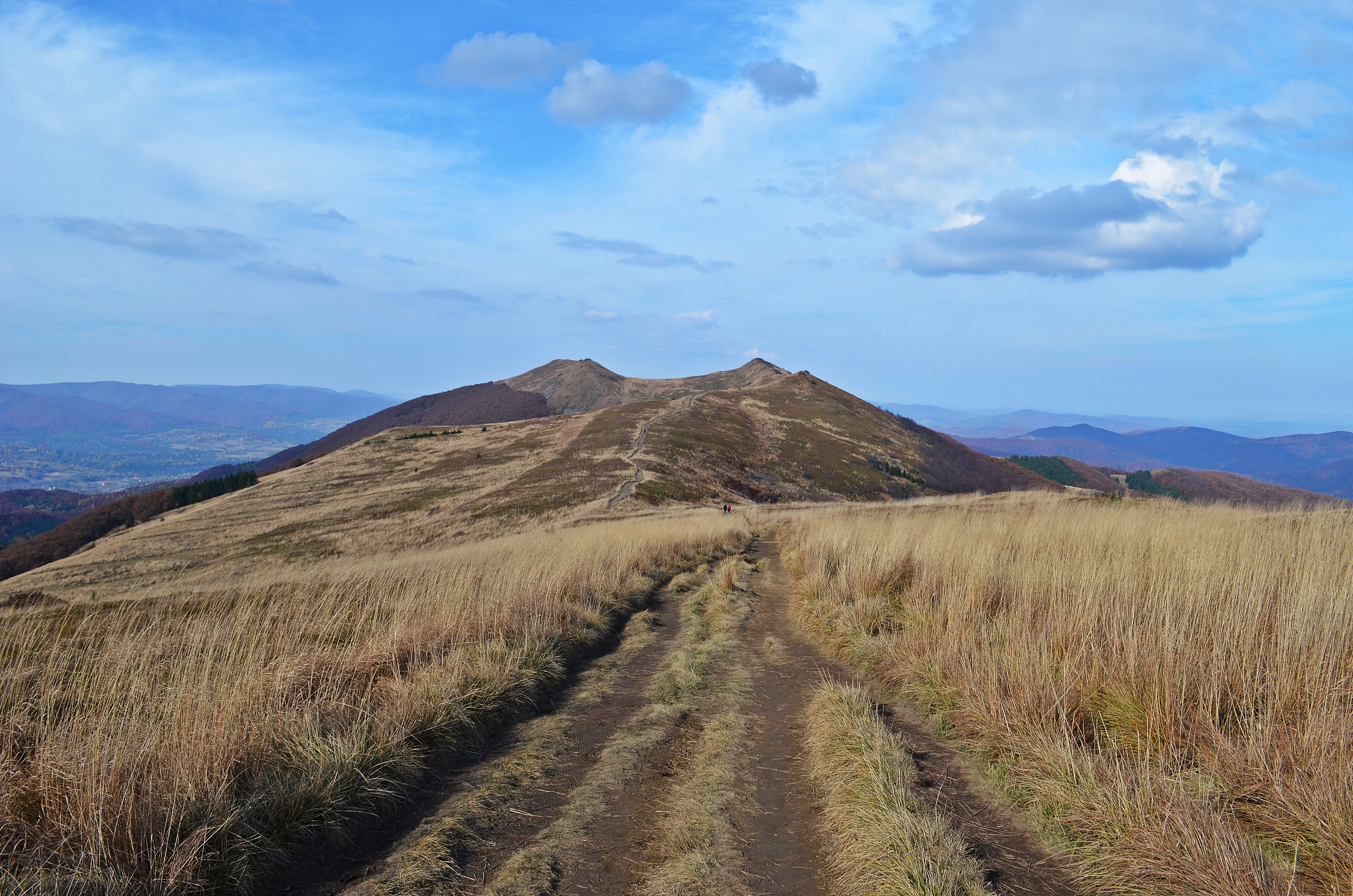 colorful, top view, mountain range, bieszczady, landscape, road, autumn, land, poland, time of year, sunny, peace of mind, green, sky, non-urban scene, HD Wallpaper