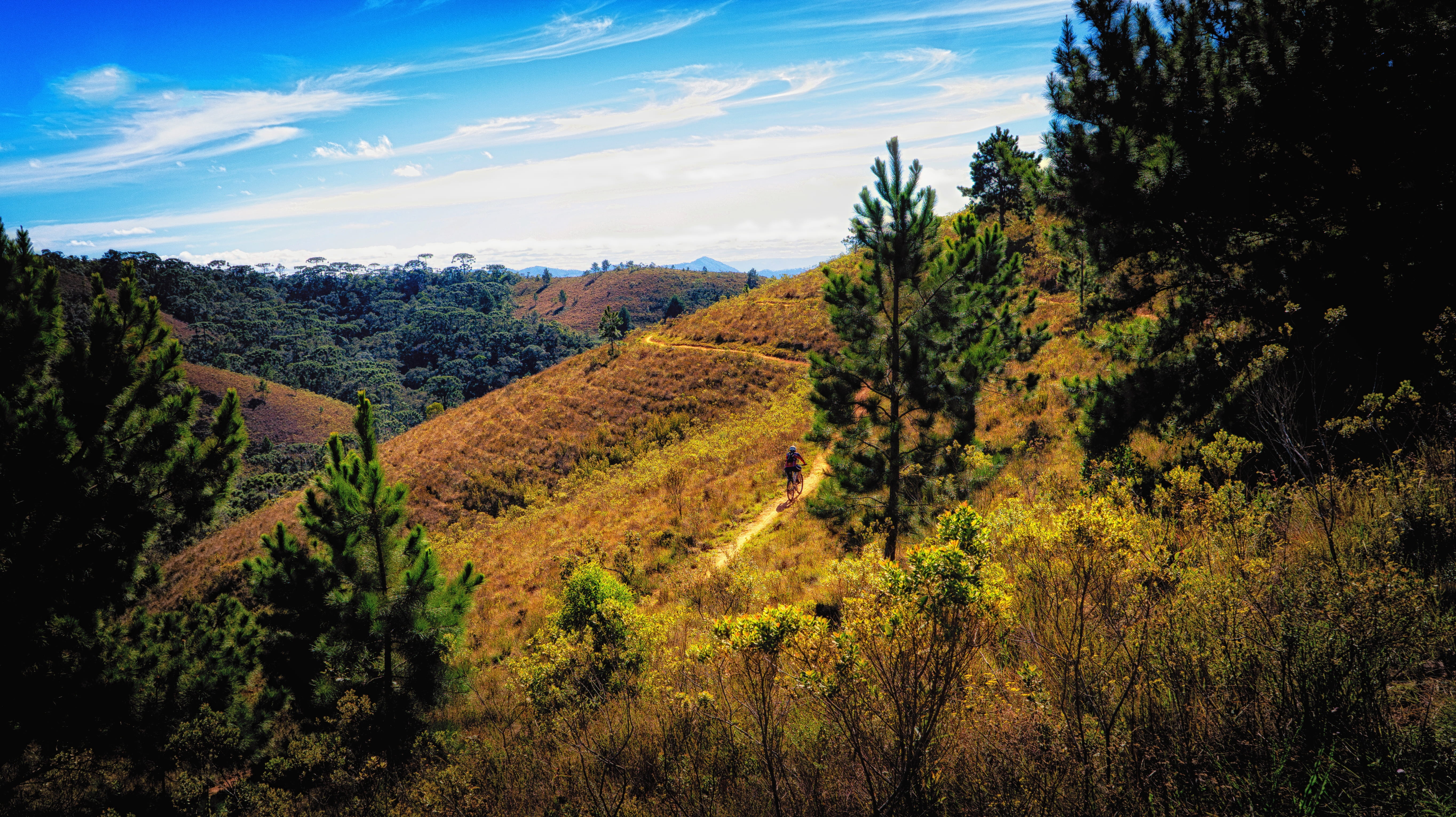 no people, path, landscape, beauty in nature, brazil, tranquility, perspective, land, places, hill, morning, trail, quiet, wild, forest, nature, mato, holidays, HD Wallpaper