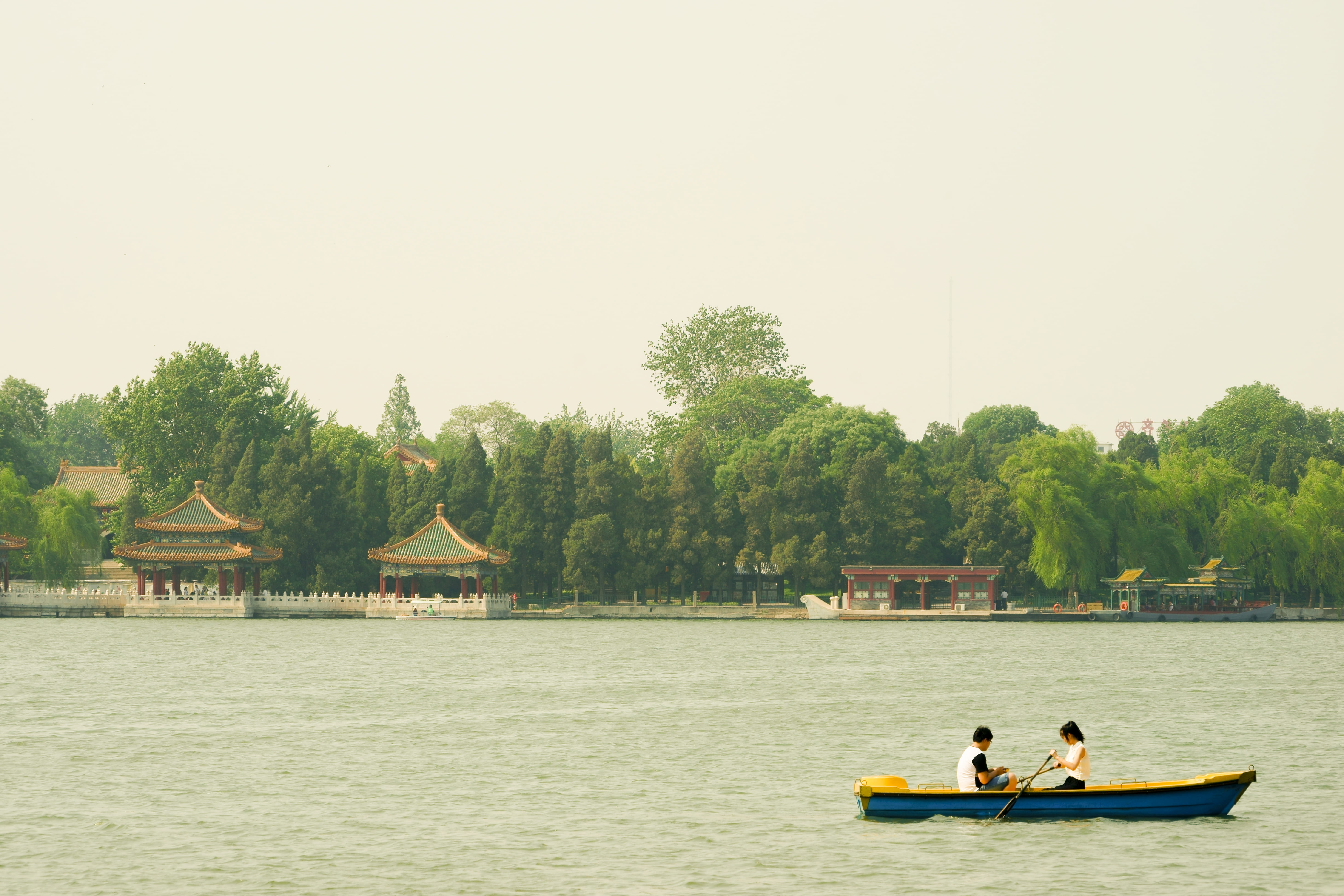 rowboat, waterfront, leisure activity, paddle, water, lake, two people, adventure, outdoors, banana boat, clear sky, tree, lifestyles, nautical vessel, HD Wallpaper