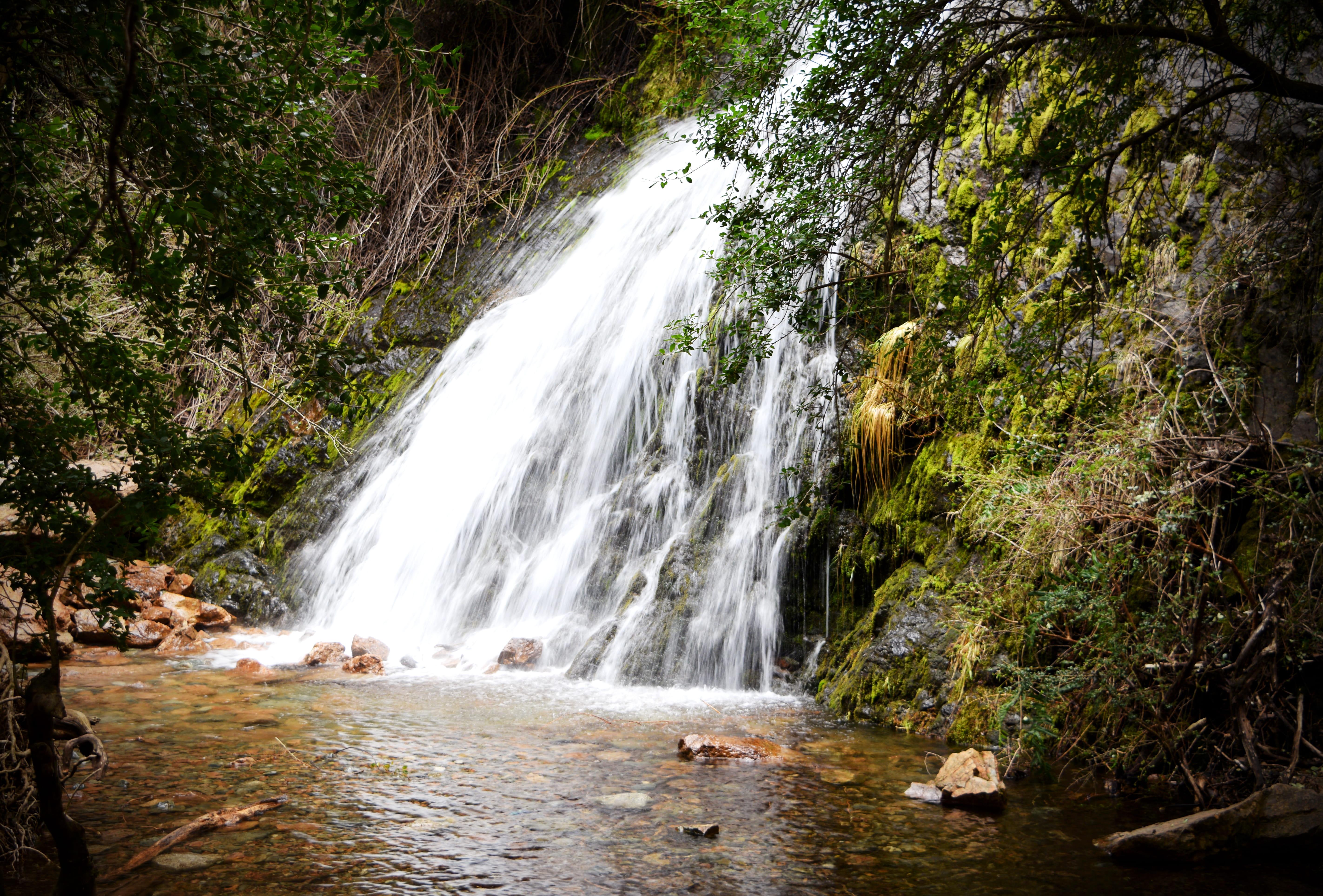 forest, blurred motion, lago puelo, non-urban scene, rock, plant, land, water, beauty in nature, motion, power in nature, 5K, outdoors, scenics - nature, HD Wallpaper
