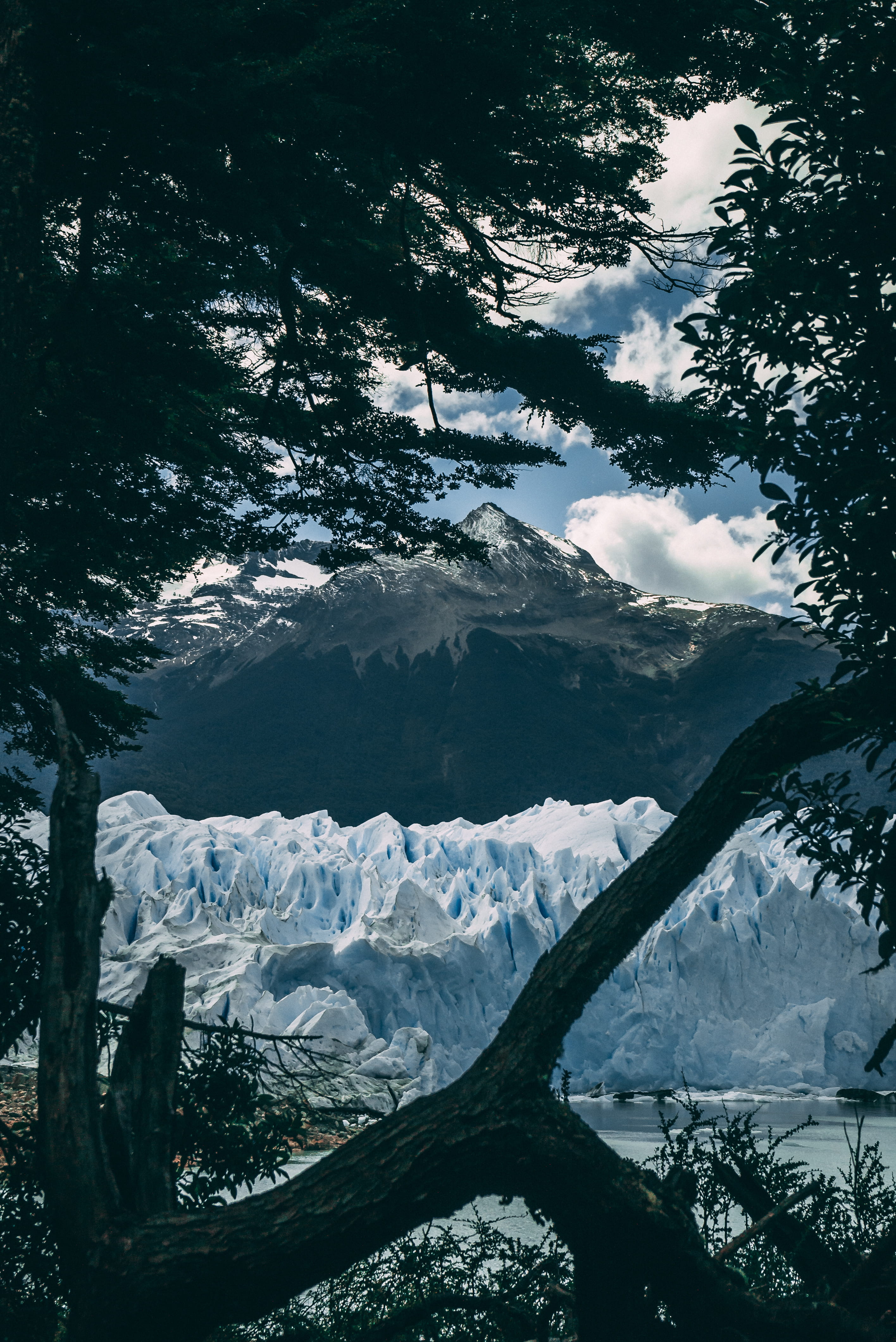 no people, 4K, outdoors, cold temperature, tree, winter, ice, snowcapped mountain, nature, mountain, argentina, perito moreno glacier, day, snow, cloud - sky, Phone HD Wallpaper