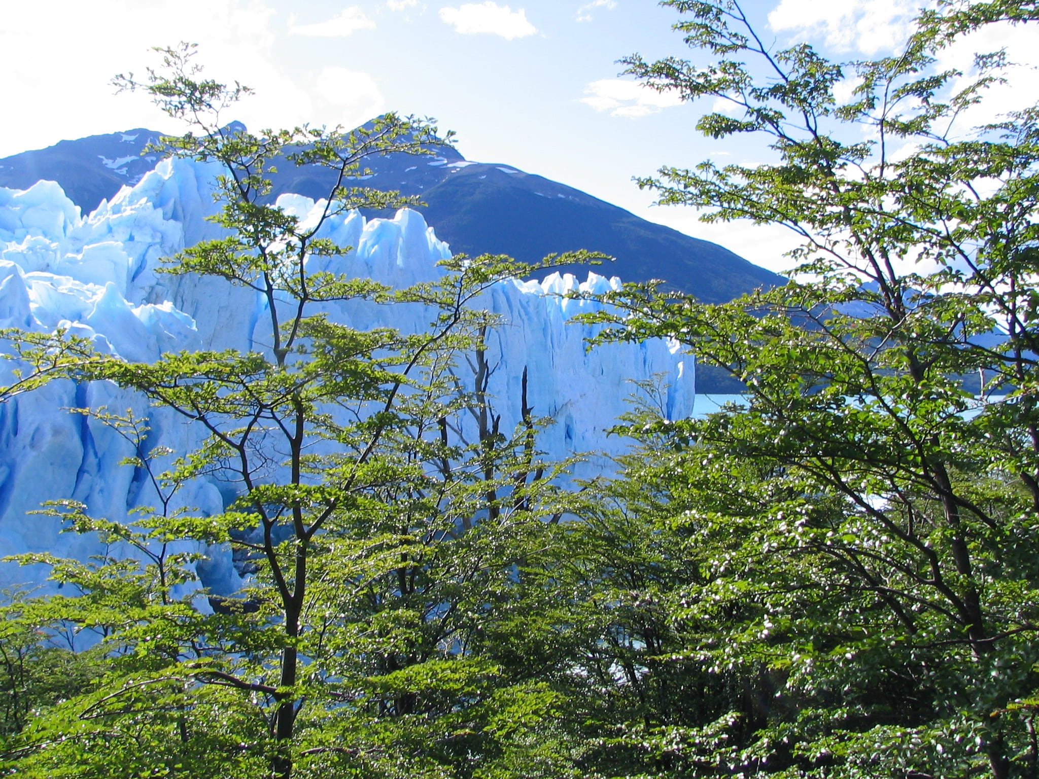 snowcapped mountain, land, sky, idyllic, tranquil scene, forest, perito moreno, low angle view, tranquility, nature, beauty in nature, glacier, scenics - nature, HD Wallpaper