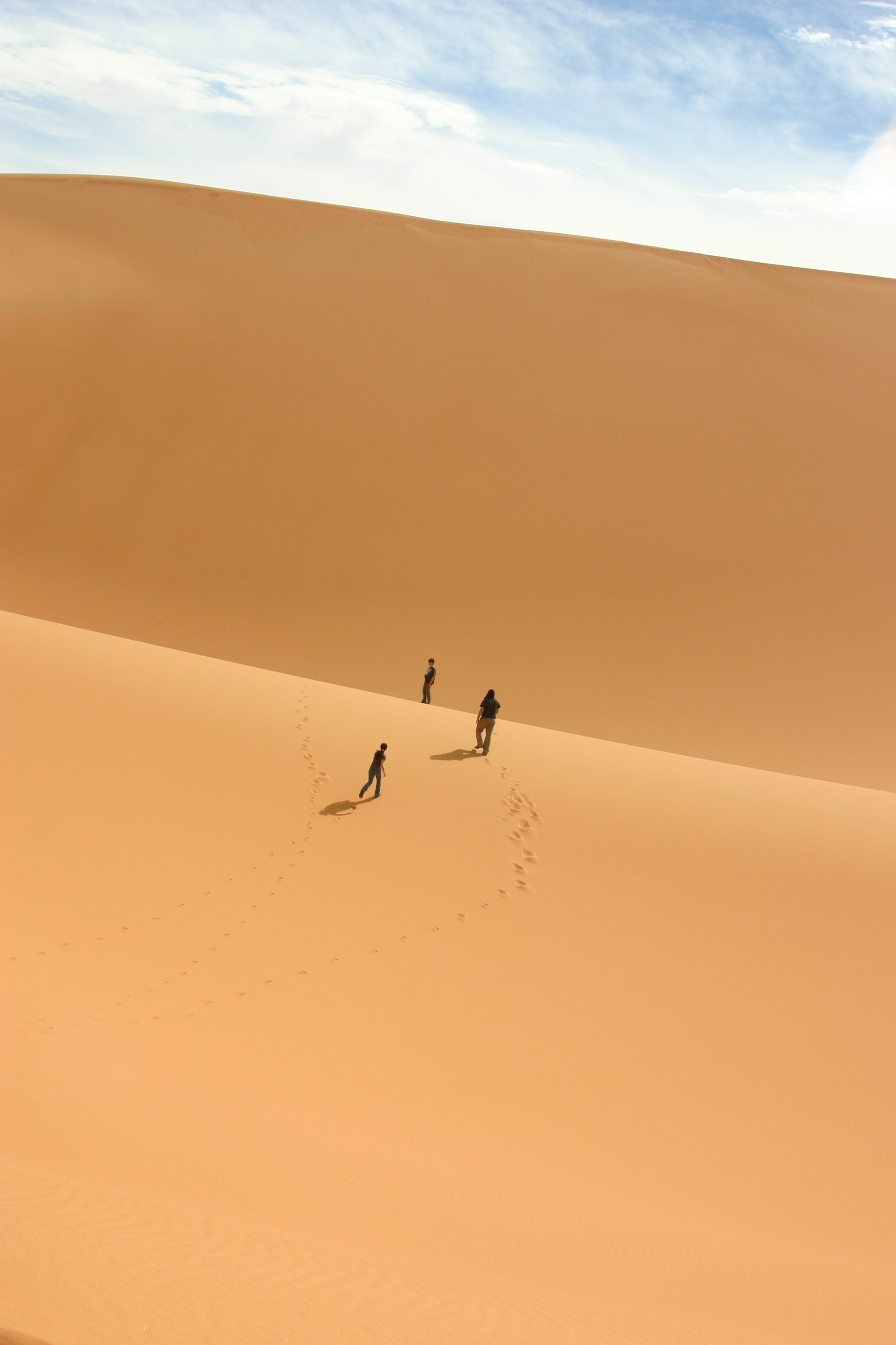 landscape, cloud - sky, scenics - nature, vertebrate, non-urban scene, animal themes, bird, 2K, sahara, sky, desert, tranquil scene, sand, climate, sand dune, Phone HD Wallpaper