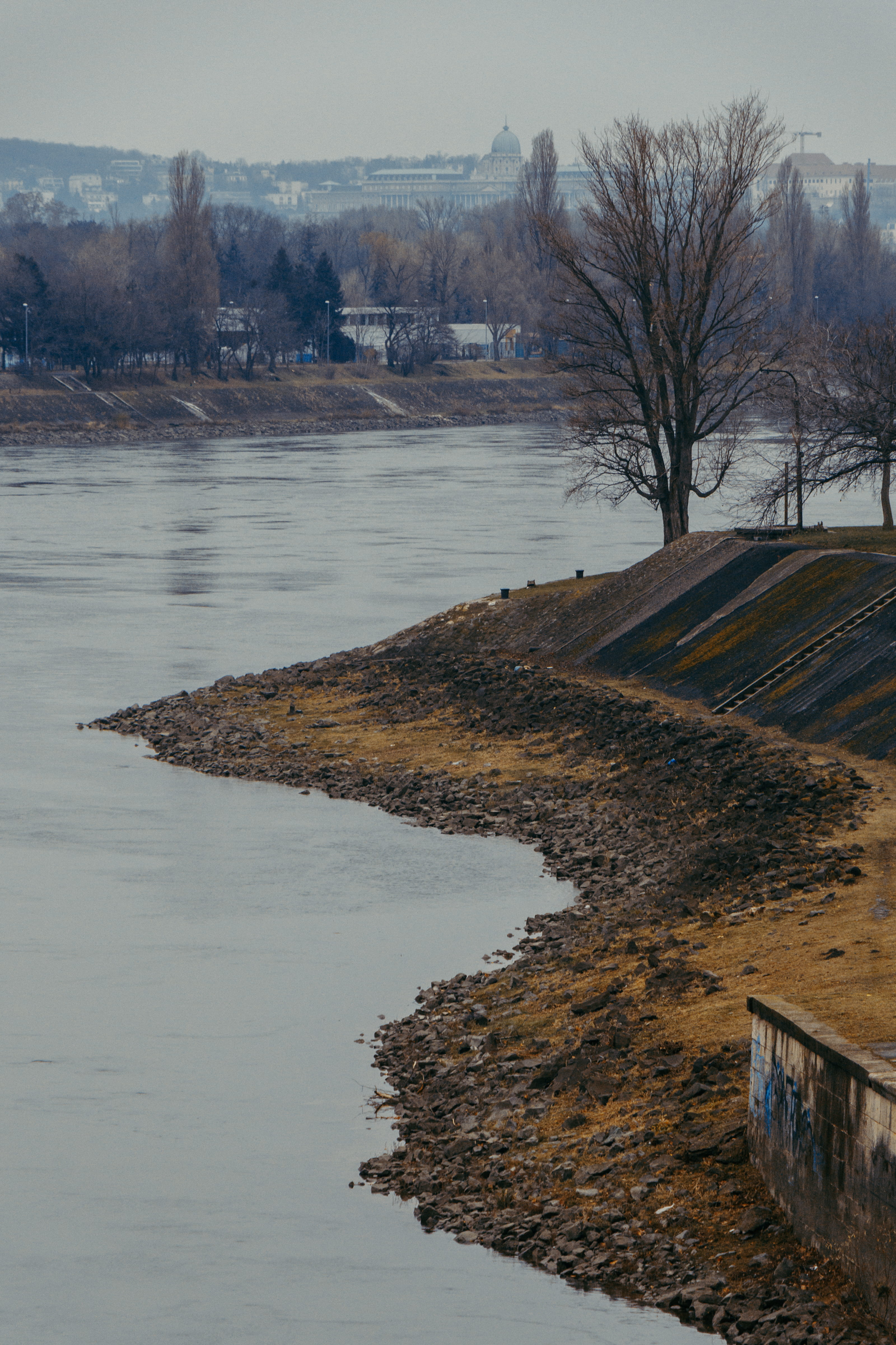land, 4K, hungary, no people, blue, capital, yellow, tree, city, plant, day, cold temperature, bare tree, beauty in nature, cold, water, outdoors, danube, Phone HD Wallpaper
