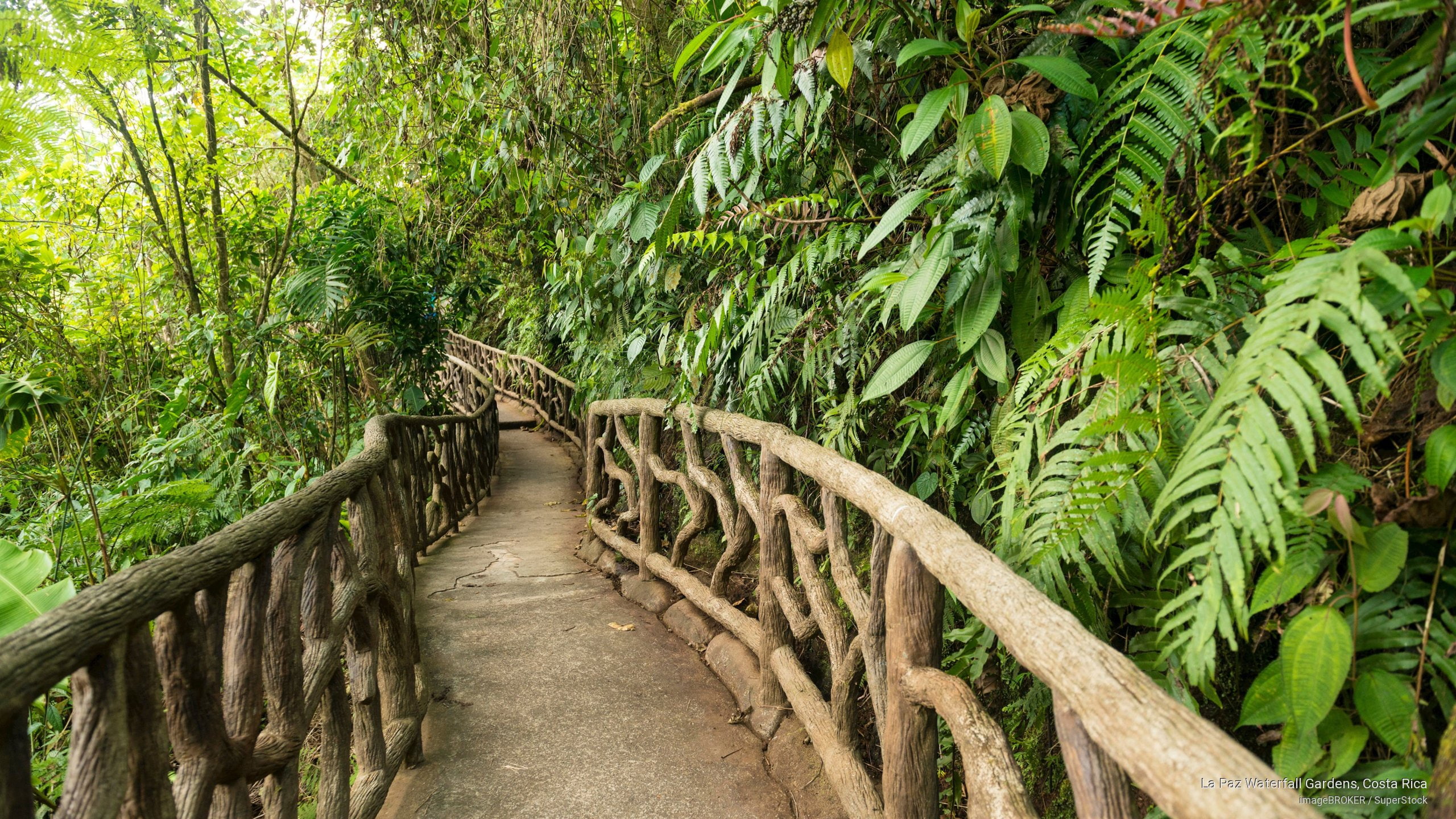 costa, la, gardens, 2K, waterfall, rica, paz, Nature, HD Wallpaper