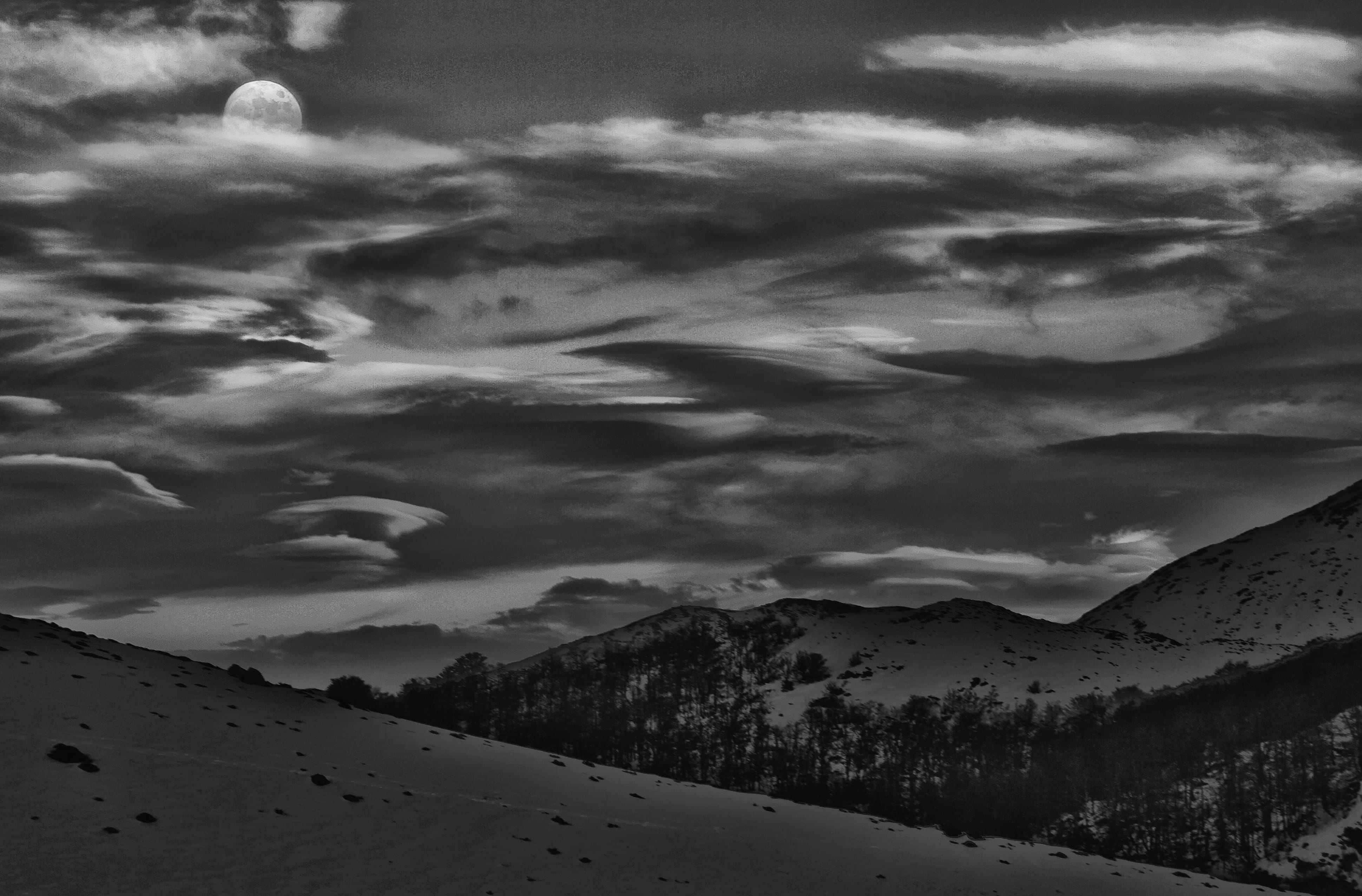 snowcapped mountain, black and white, tree, nature, mountain peak, parque nacional de los picos de europa, snow, 4K, idyllic, alps, environment, photo, HD Wallpaper