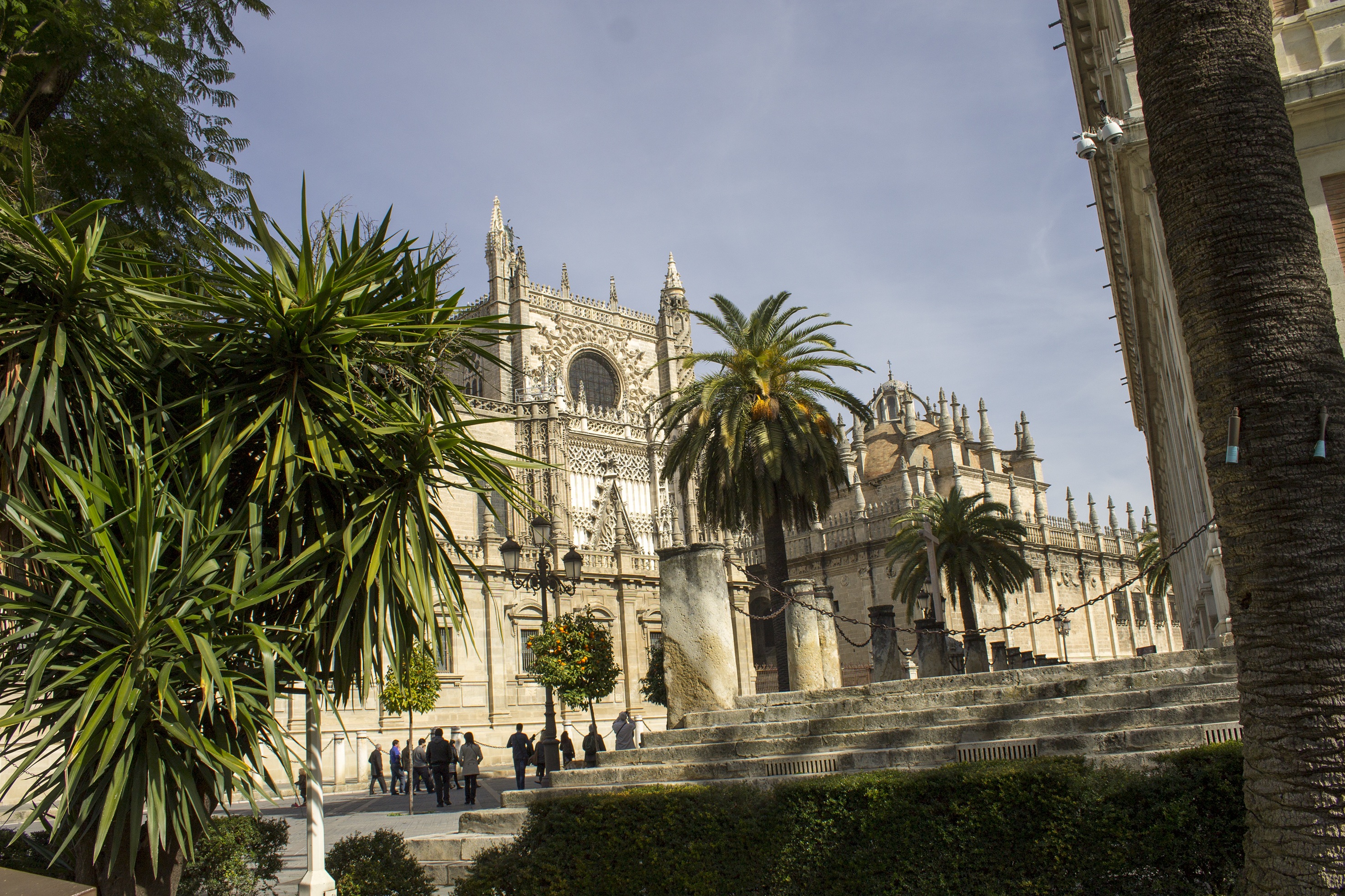 church, history, real people, sky, place of worship, palm tree, day, tourism, plant, religion, seville, architectural column, building, exterior, belief, HD Wallpaper