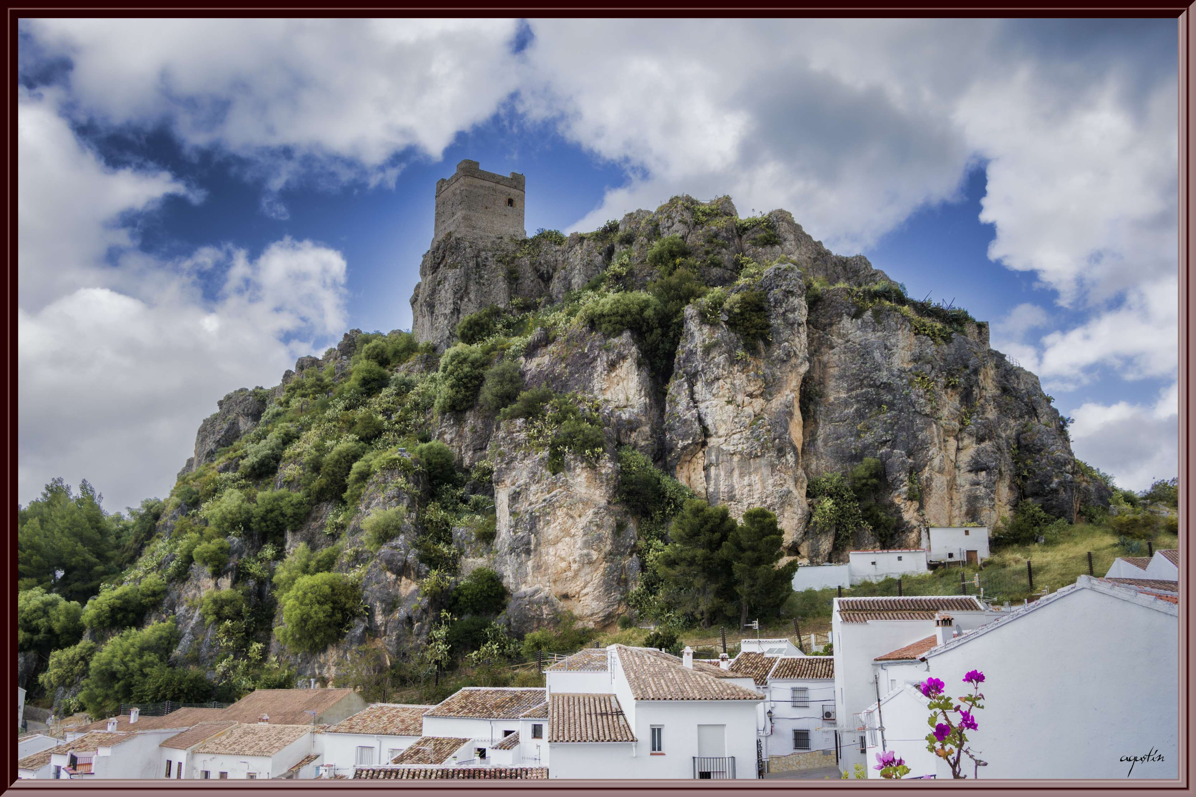 building, built structure, low angle view, tree, history, sky, transfer print, no people, cloud - sky, zahara de la sierra cadiz espana, day, residential district, HD Wallpaper